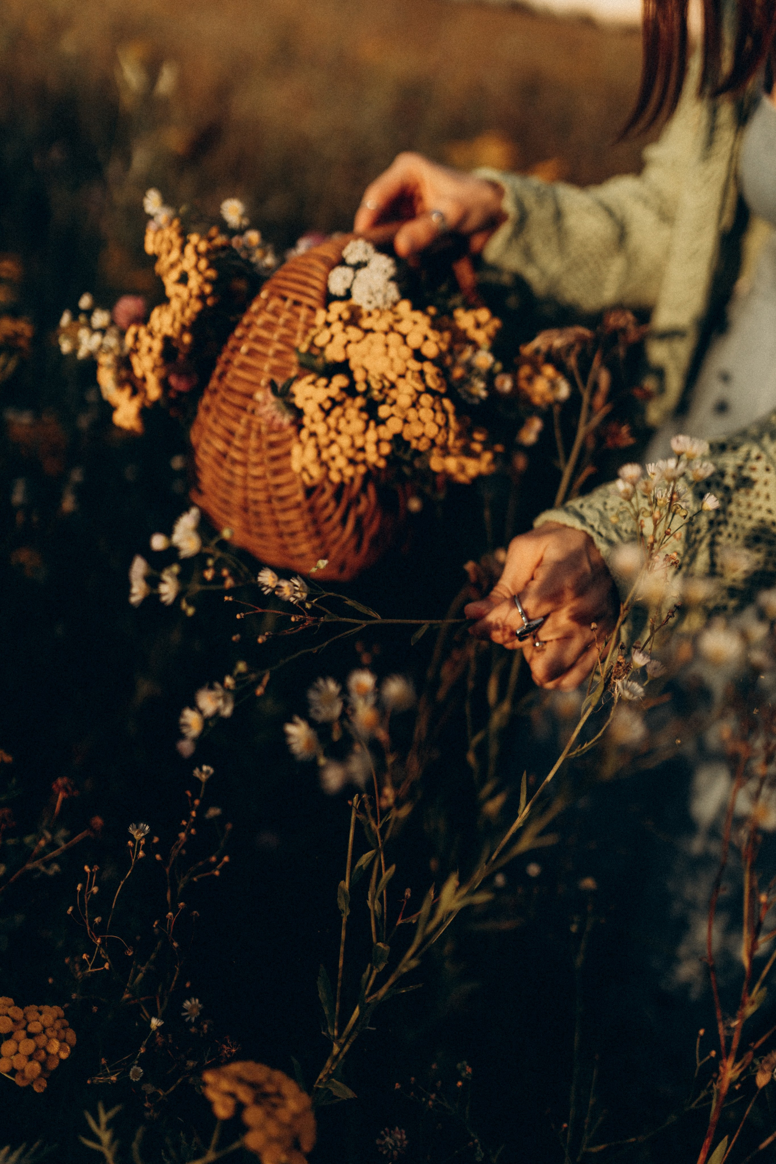Полина. Фотограф НОГИНСК, Москва, Анастасия Белая