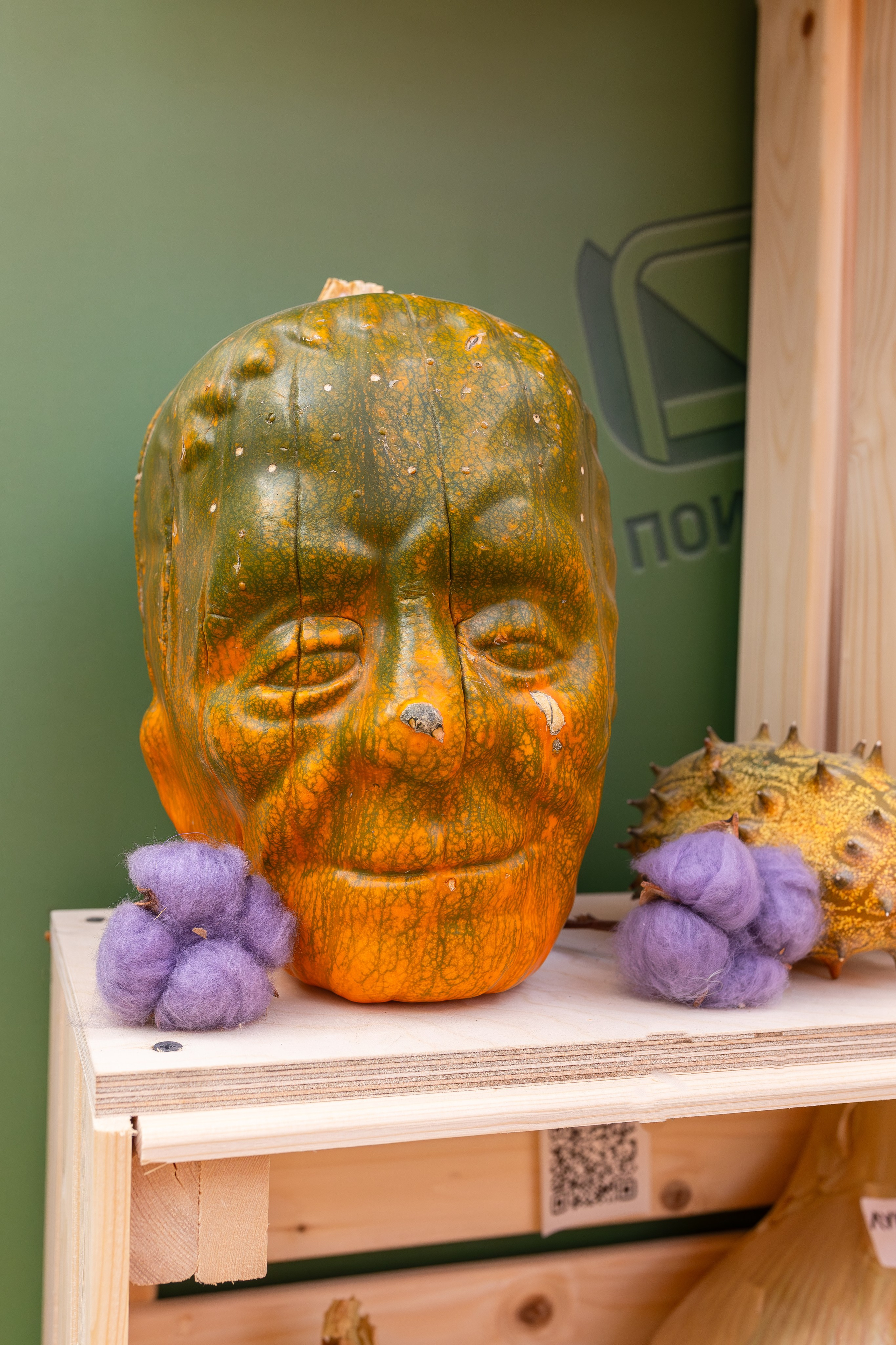 Овощи-гиганты. Александра Куликова фотограф, Москва