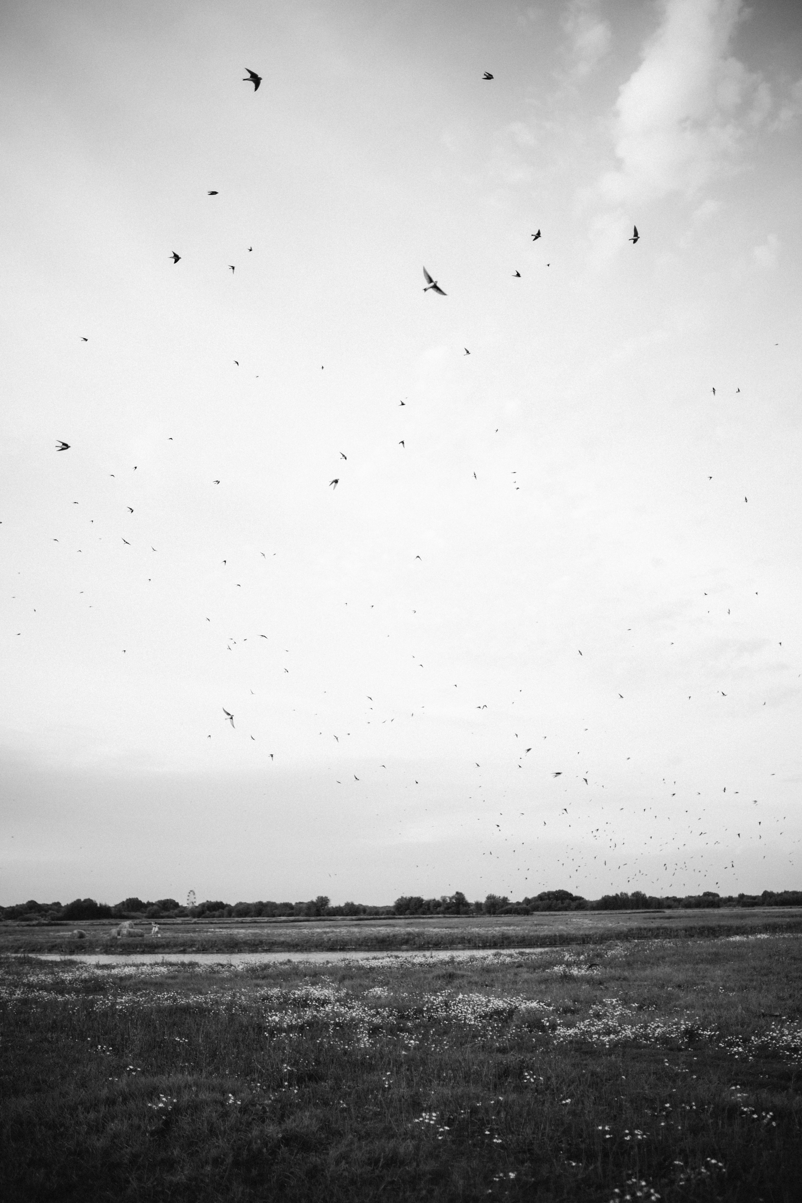 Про Дашу. Семейный и детский фотограф в Рязани Екатерина Воронцова