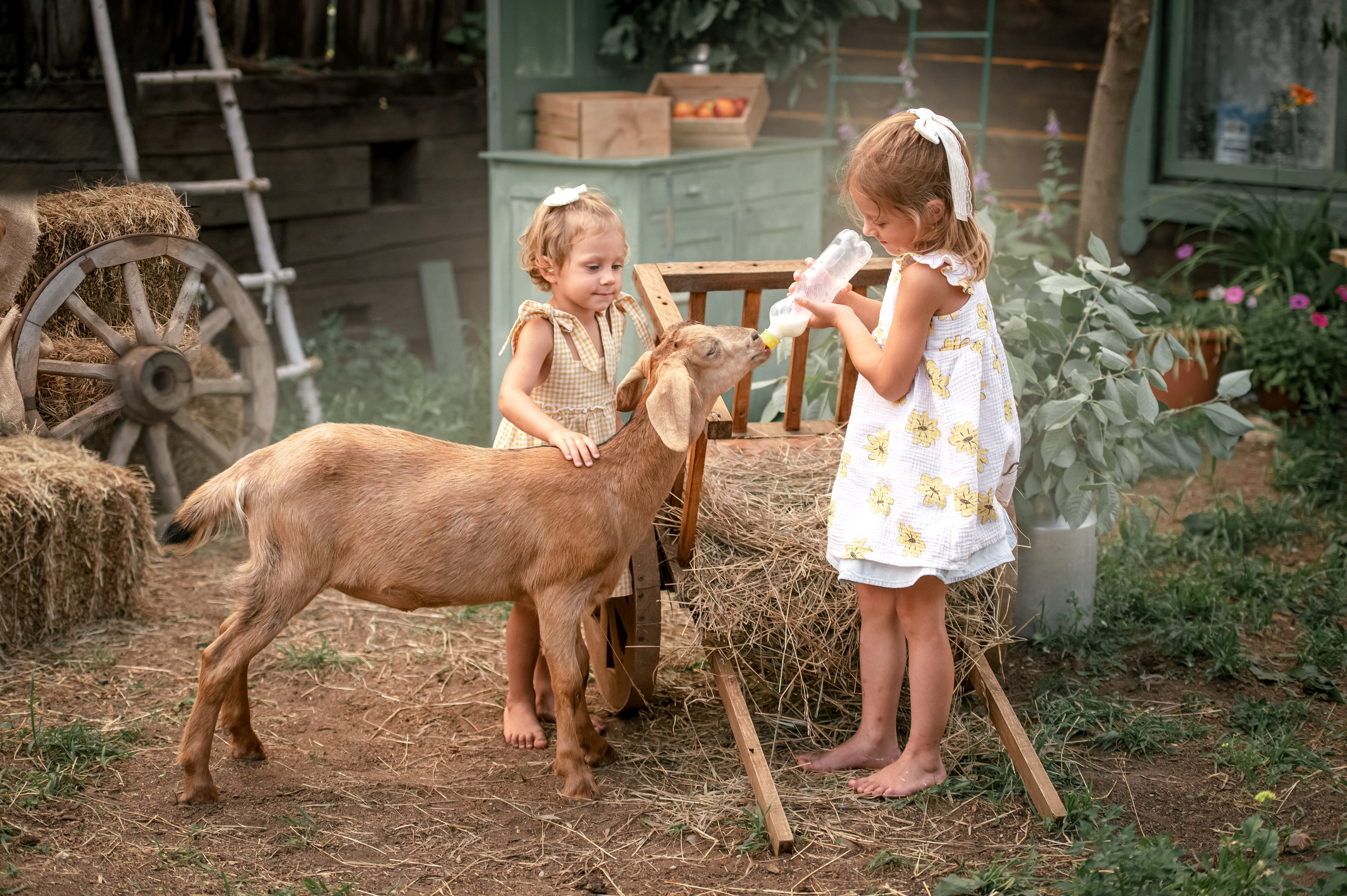 ДЕРЕВЕНСКИЕ ИСТОРИИ. Семейный и детский фотограф в Канске и Канском р-не, Красноярск и