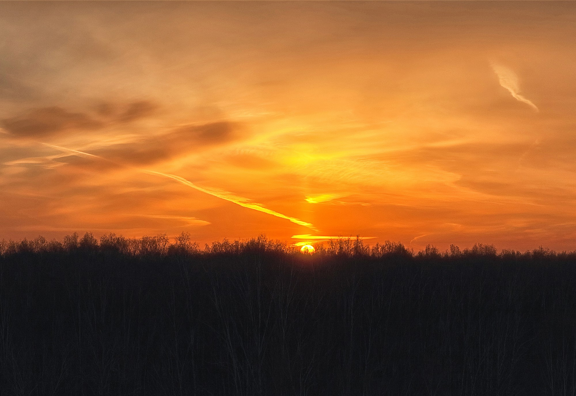 Природа и пейзажи / Nature and landscapes. Visual artist Olga Burmistrova