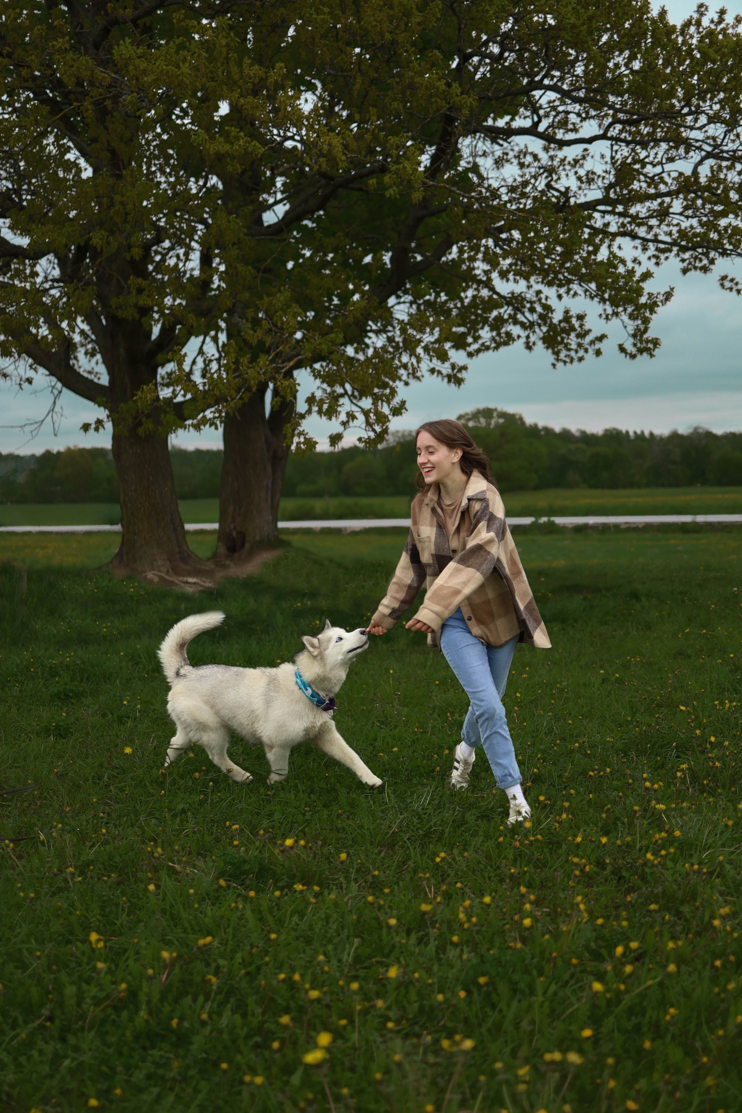 Шанти и Катя. Фотограф-анималист в Санкт-Петеребурге Титова Алиса