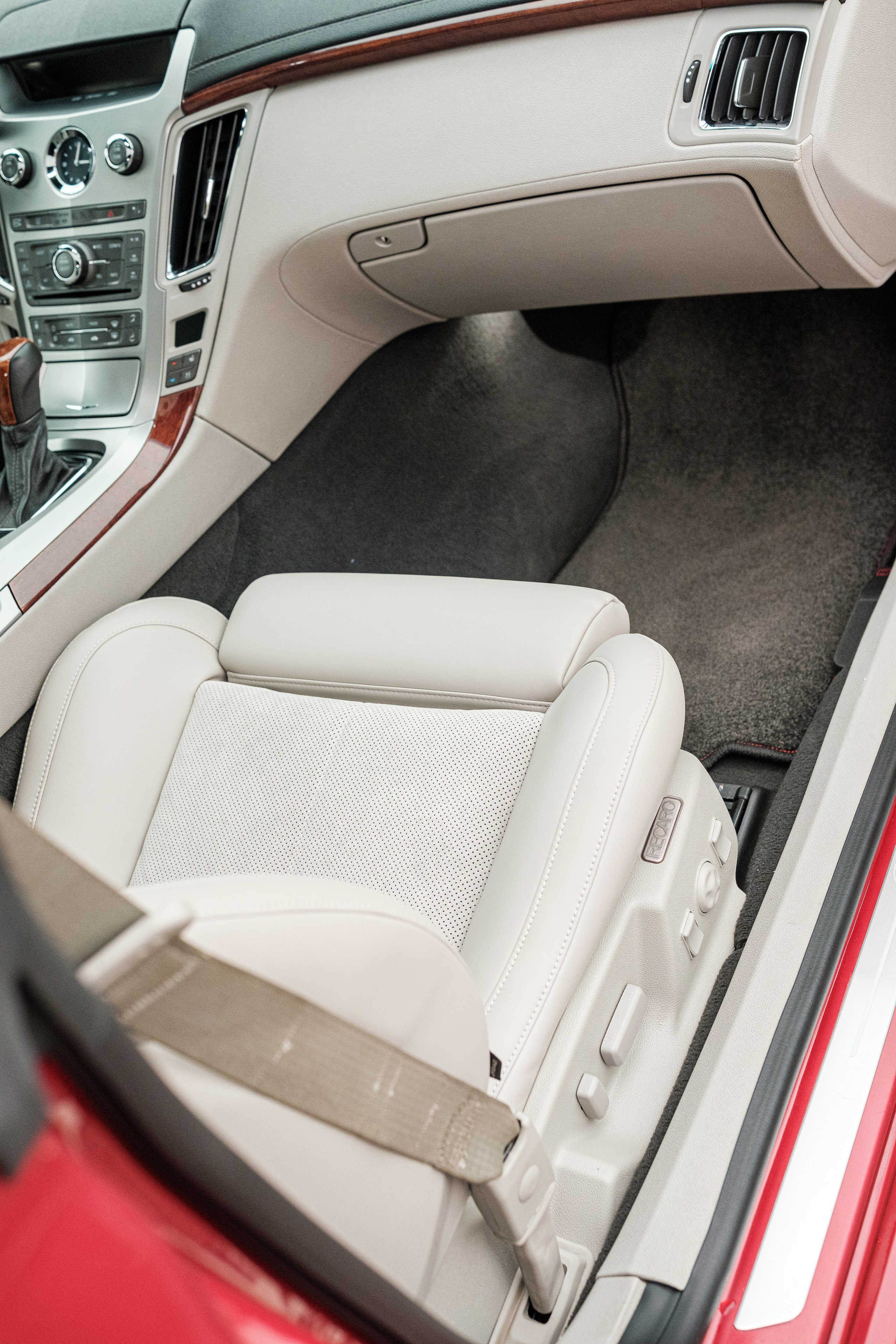 Кэдди. Алексей Никифоров фотограф Москва, Химки