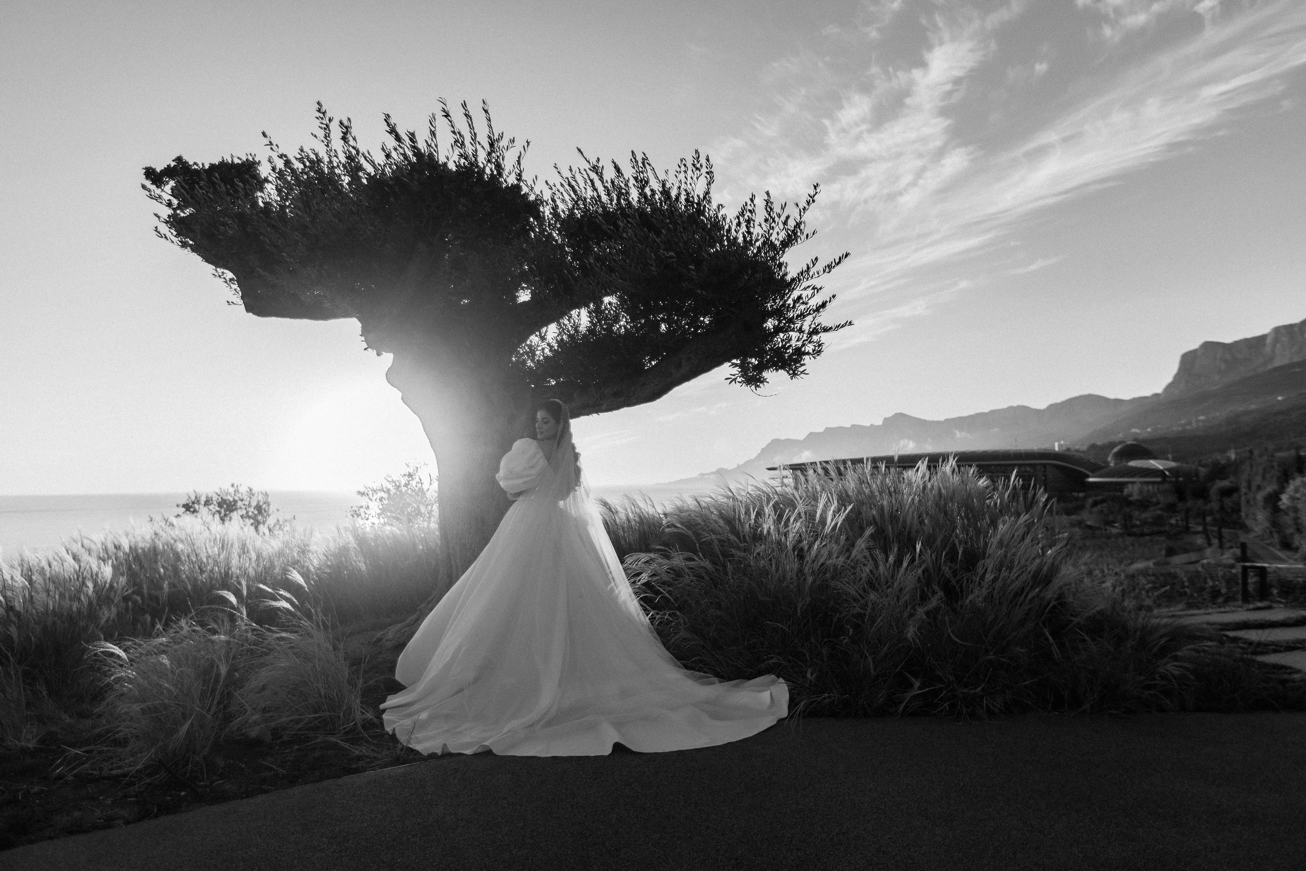 Микаэл и Шушана — Анонс свадьбы. Свадебный фотограф, фотосъемка в Крыму, Севастополе, Симферополе, Ялте