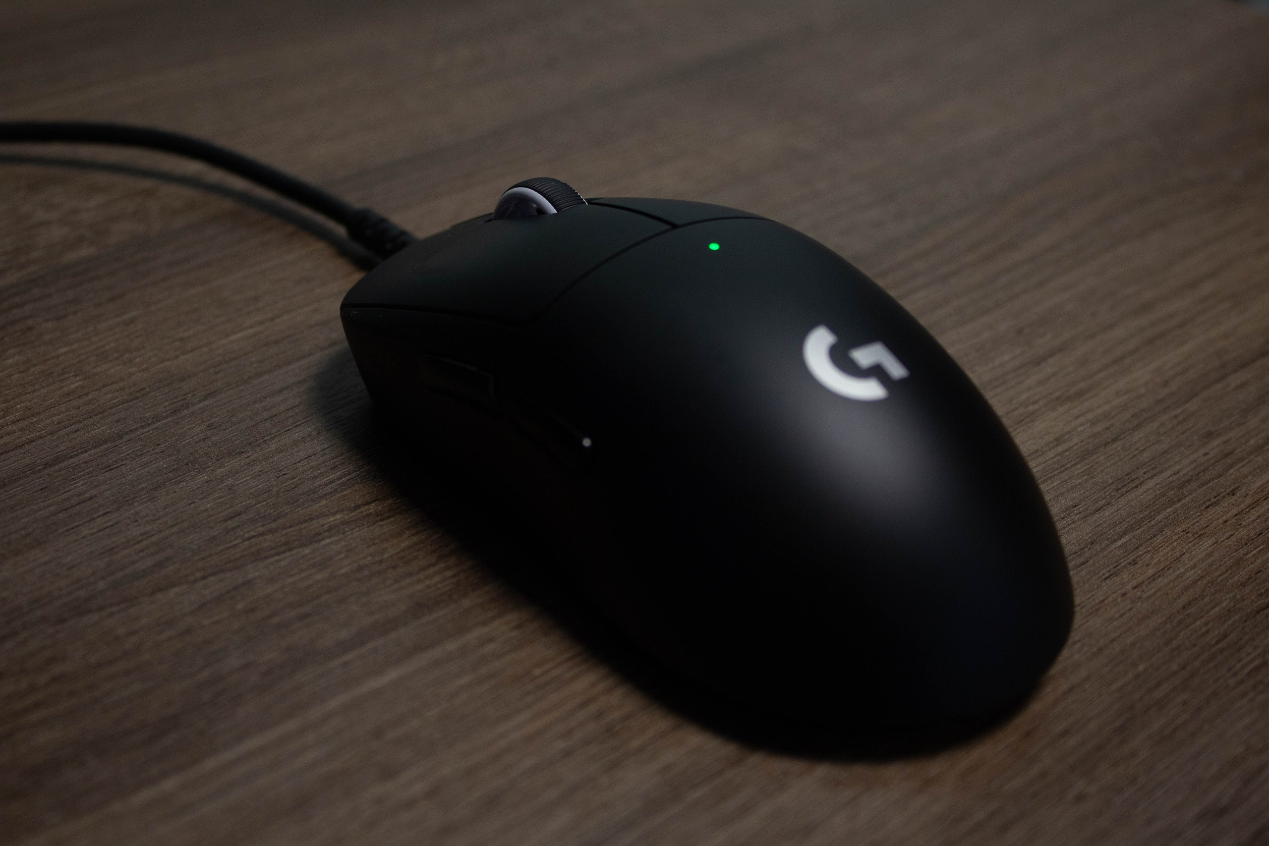 Polycup. Карпогоры, Санкт-Петербург