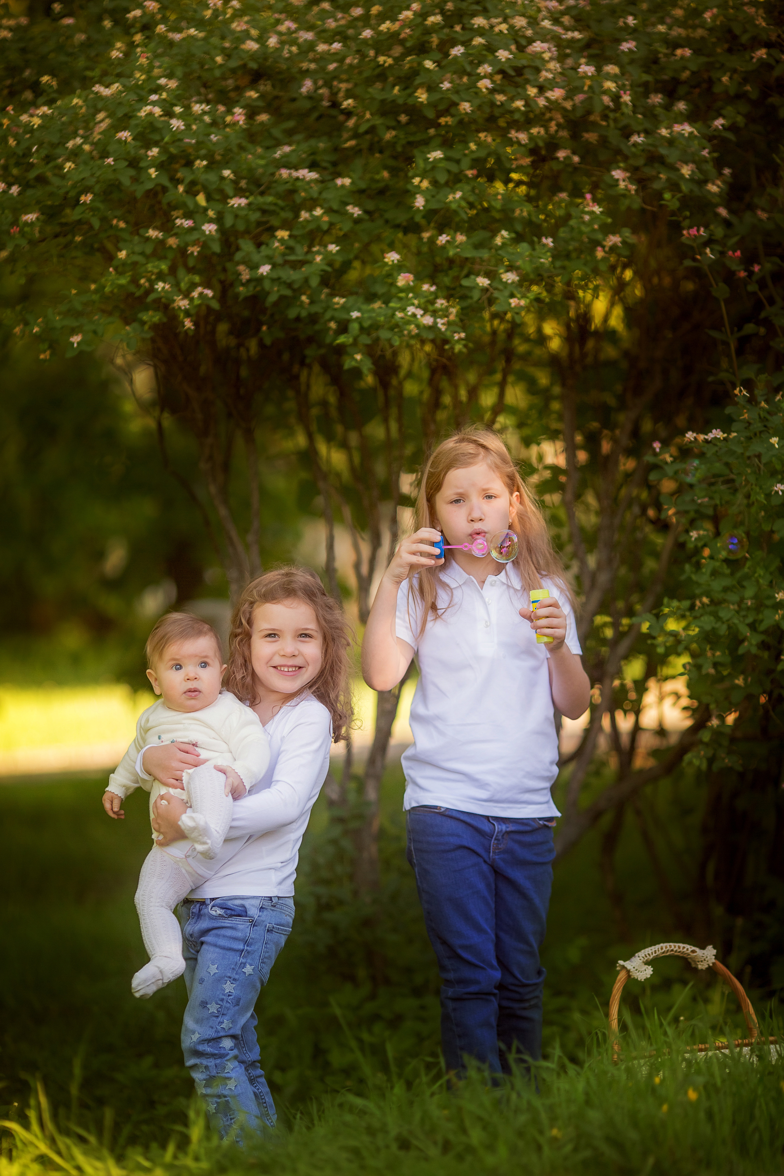 4 фотосессии одной семьи. Зима, весна, лето и осень. צלם ואמן ילדים ומשפחה