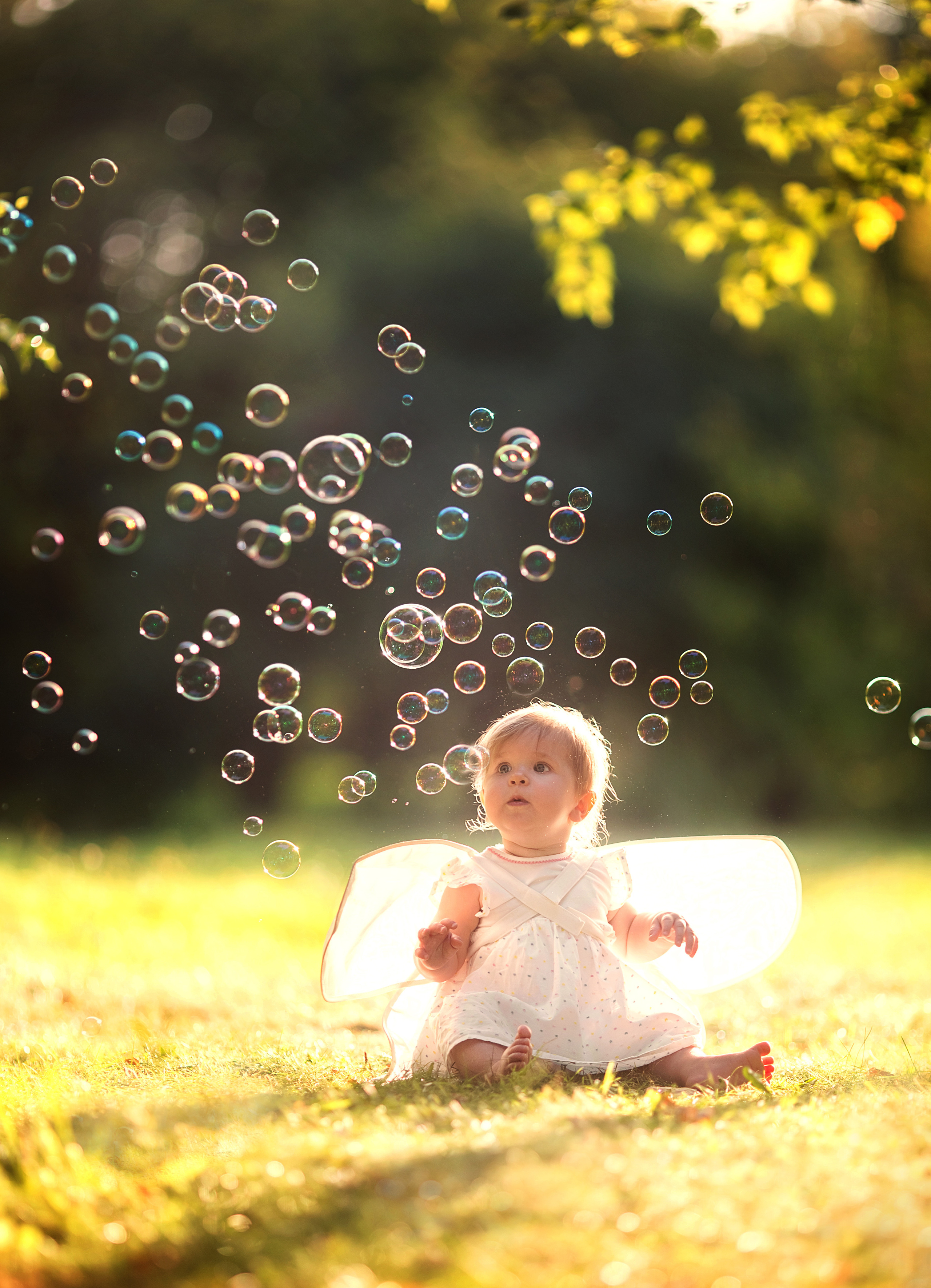 4 фотосессии одной семьи. Зима, весна, лето и осень. צלם ואמן ילדים ומשפחה