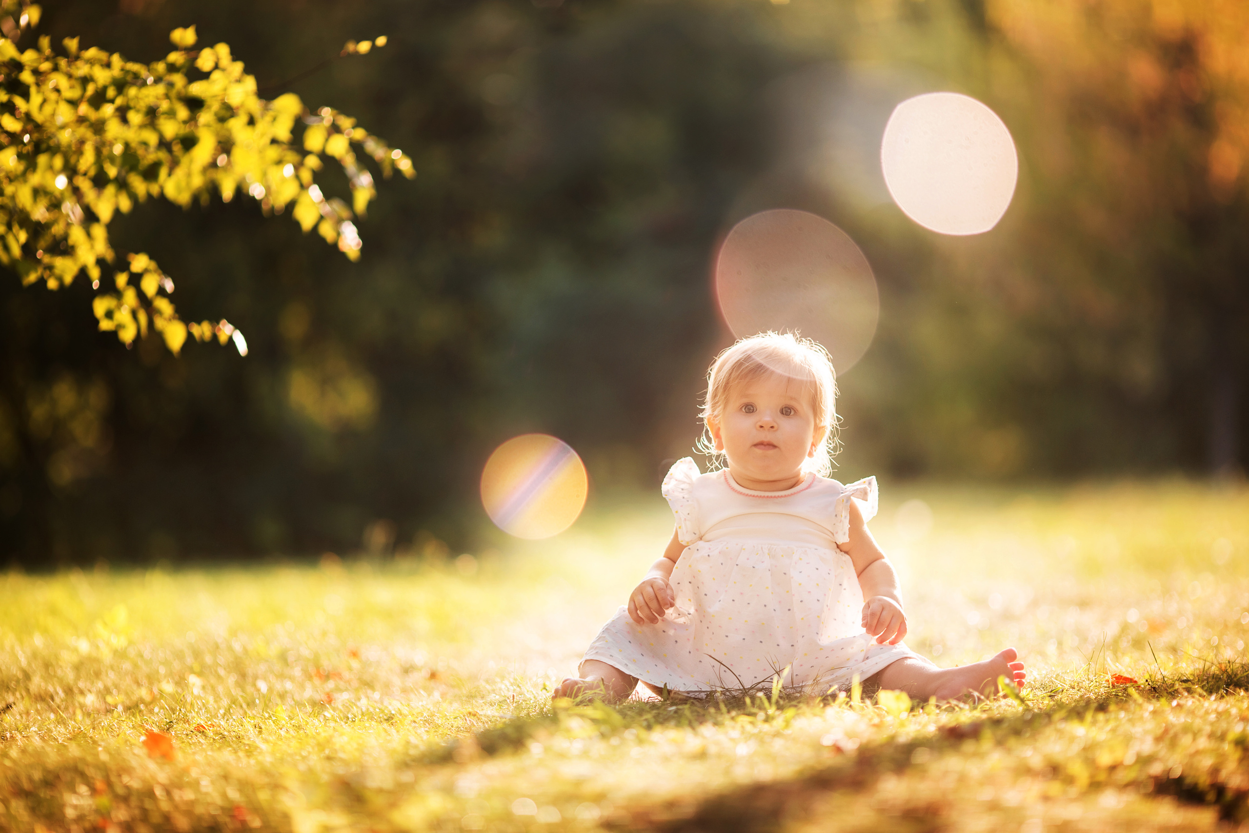 4 фотосессии одной семьи. Зима, весна, лето и осень. צלם ואמן ילדים ומשפחה