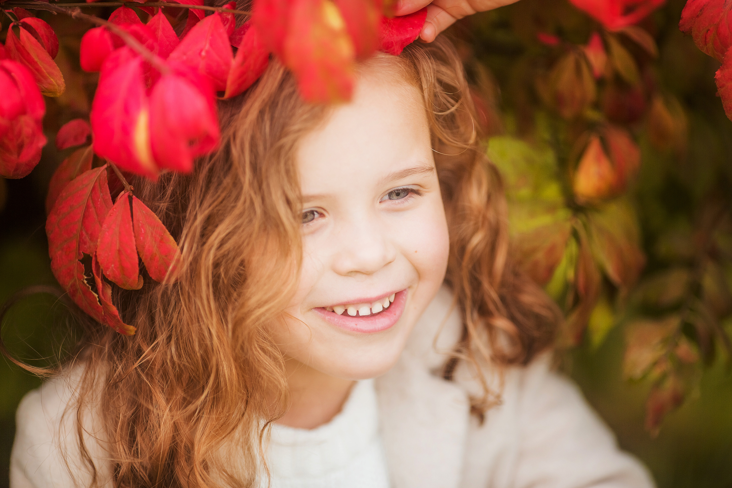 4 фотосессии одной семьи. Зима, весна, лето и осень. צלם ואמן ילדים ומשפחה