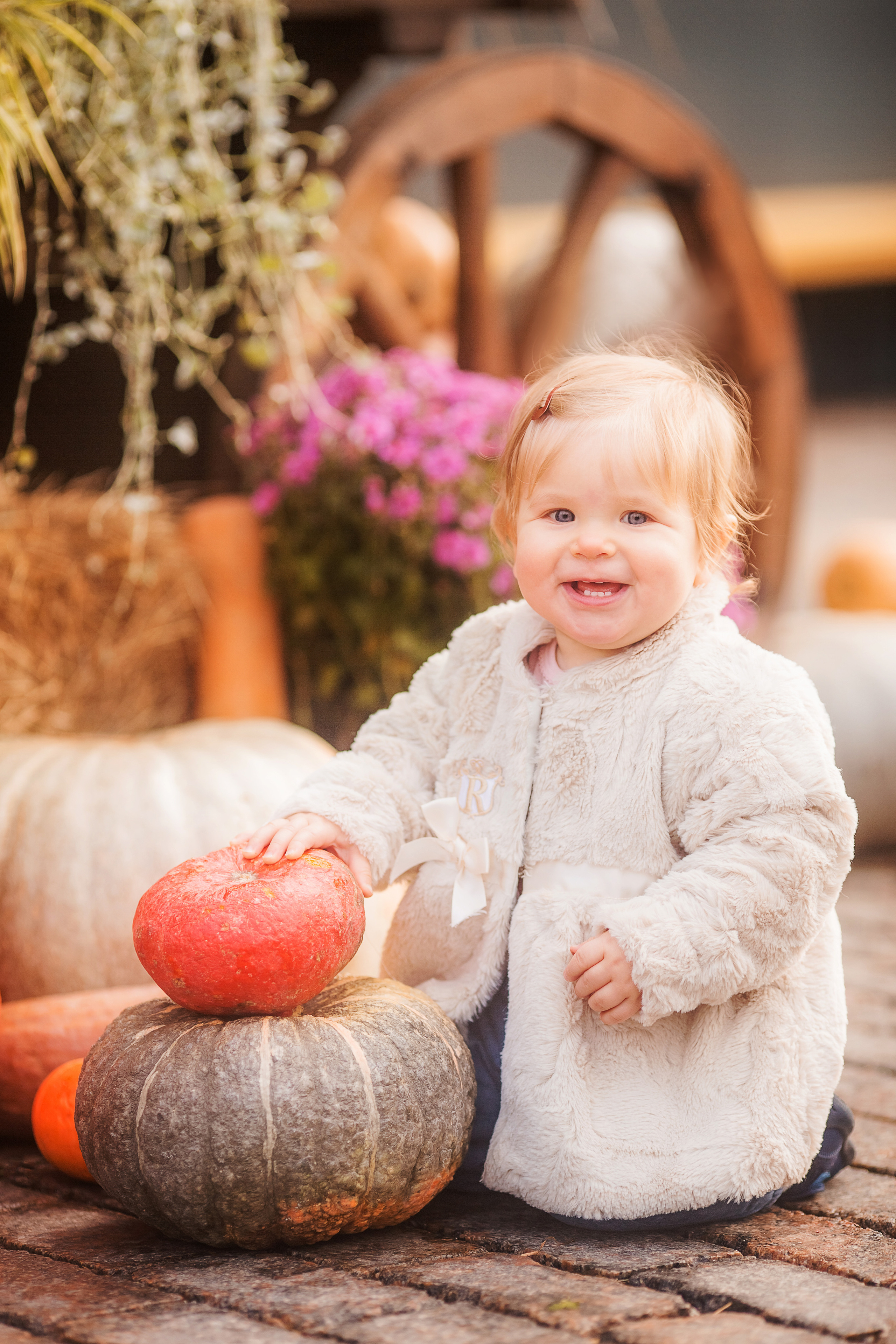 4 фотосессии одной семьи. Зима, весна, лето и осень. צלם ואמן ילדים ומשפחה