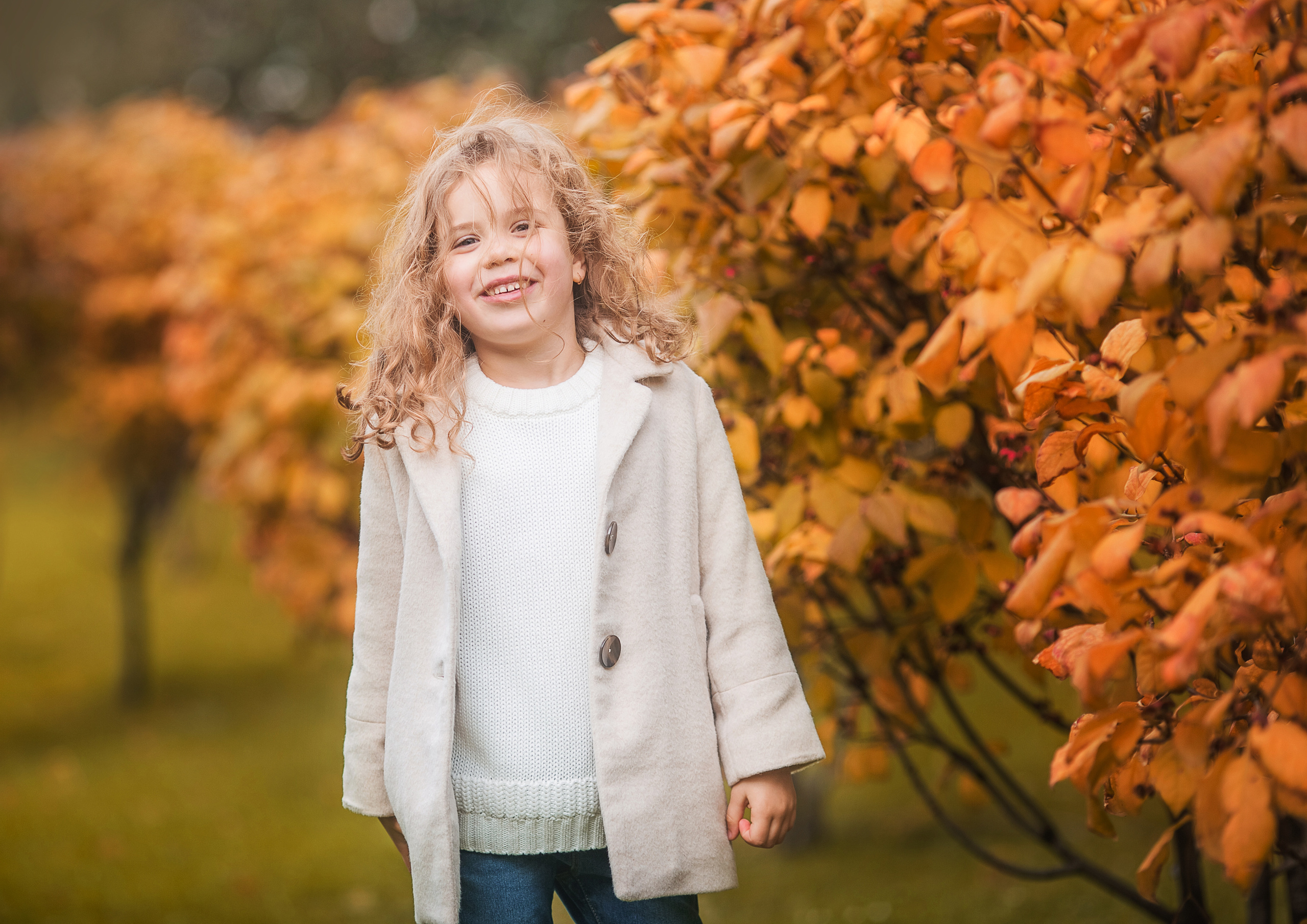 4 фотосессии одной семьи. Зима, весна, лето и осень. צלם ואמן ילדים ומשפחה