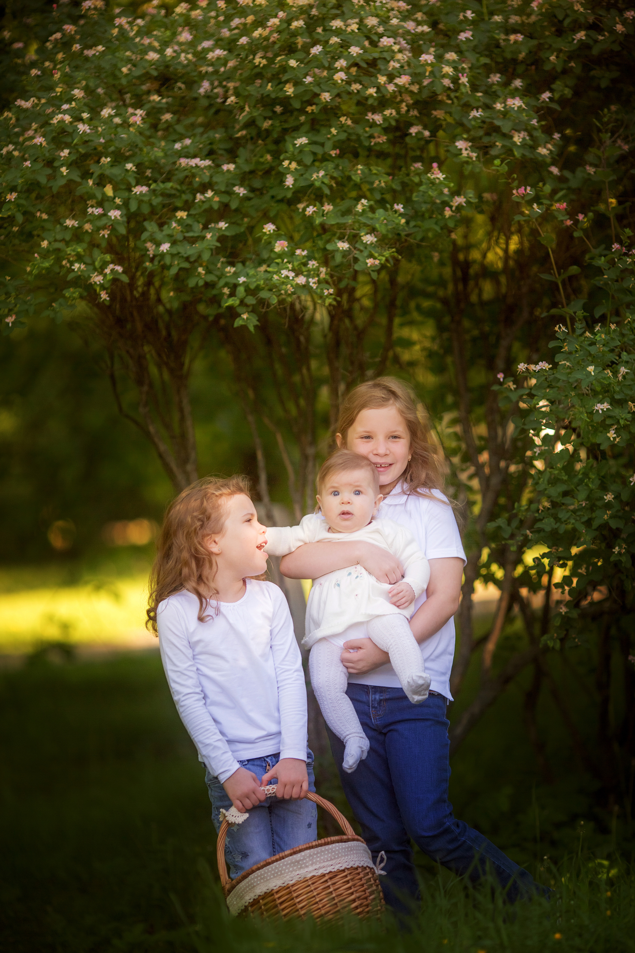 4 фотосессии одной семьи. Зима, весна, лето и осень. צלם ואמן ילדים ומשפחה