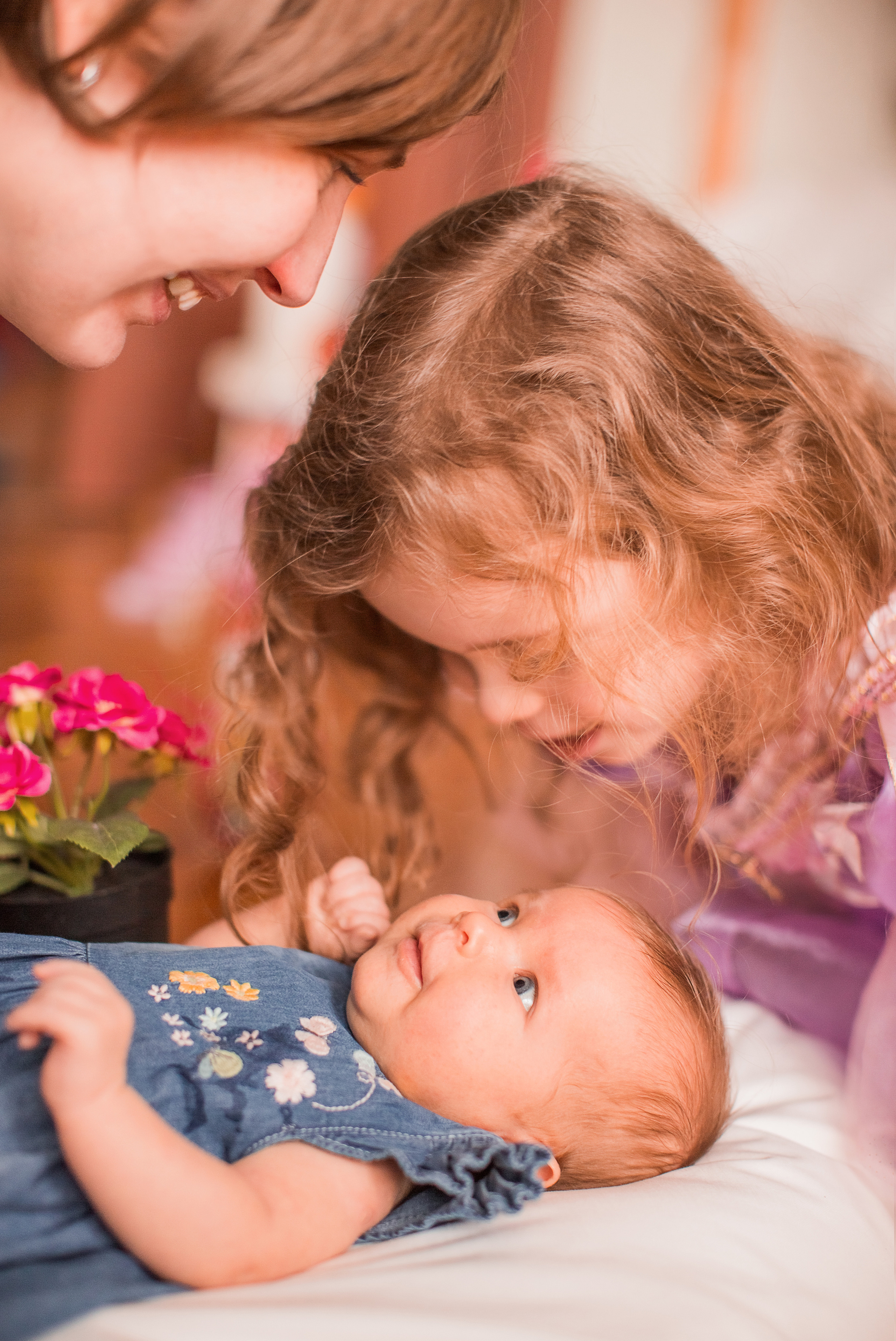4 фотосессии одной семьи. Зима, весна, лето и осень. צלם ואמן ילדים ומשפחה