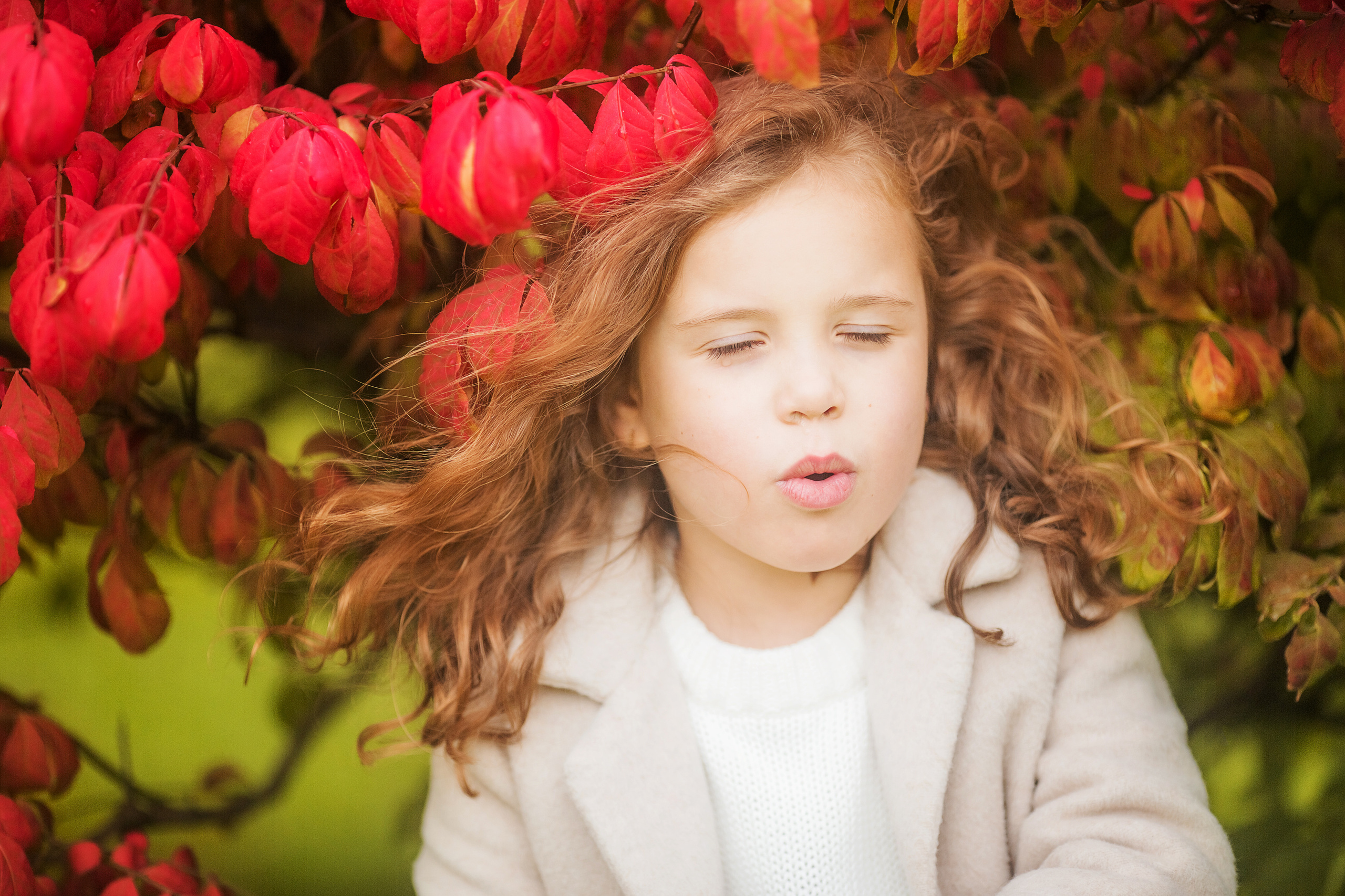 4 фотосессии одной семьи. Зима, весна, лето и осень. צלם ואמן ילדים ומשפחה