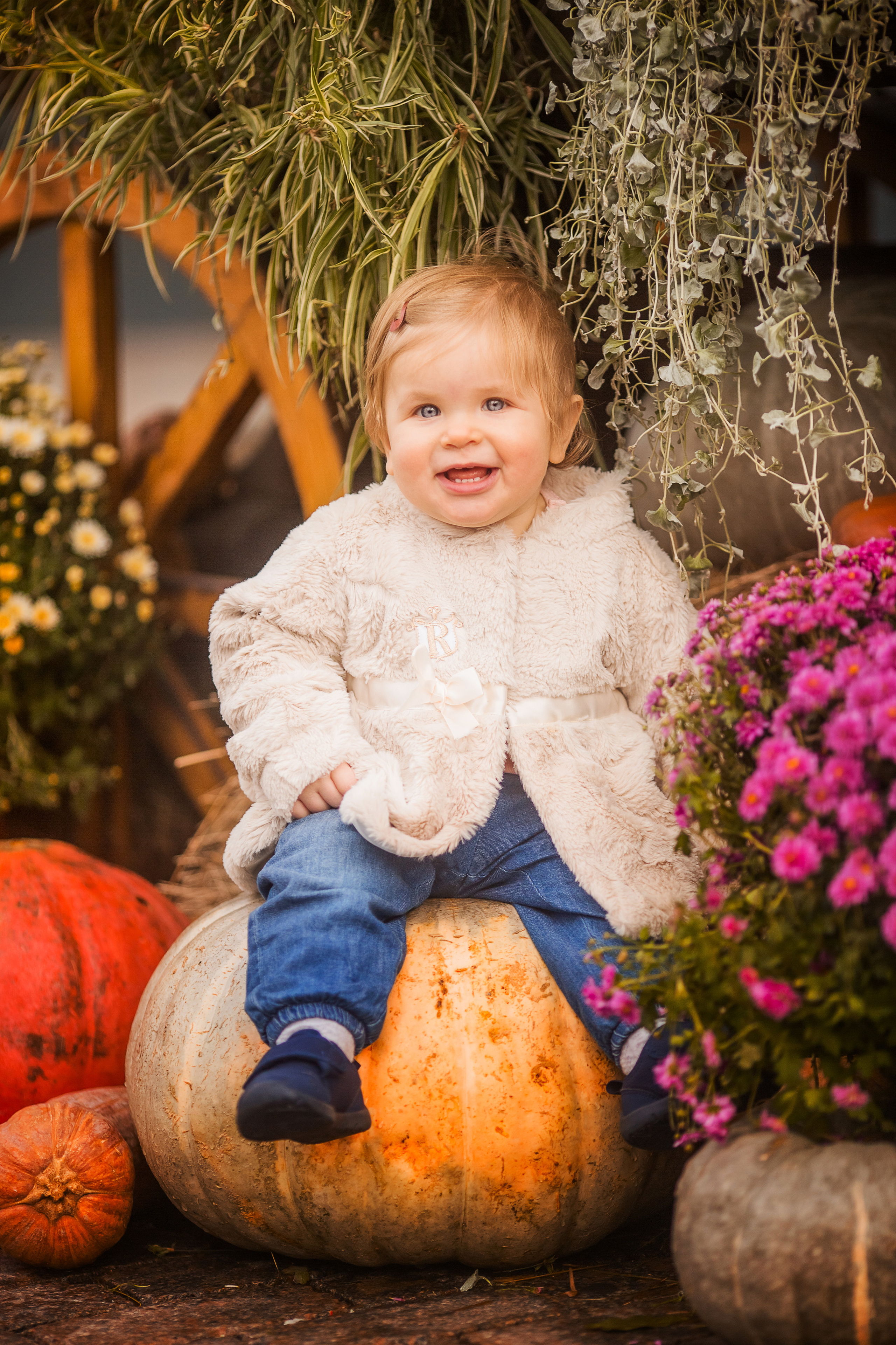 4 фотосессии одной семьи. Зима, весна, лето и осень. צלם ואמן ילדים ומשפחה