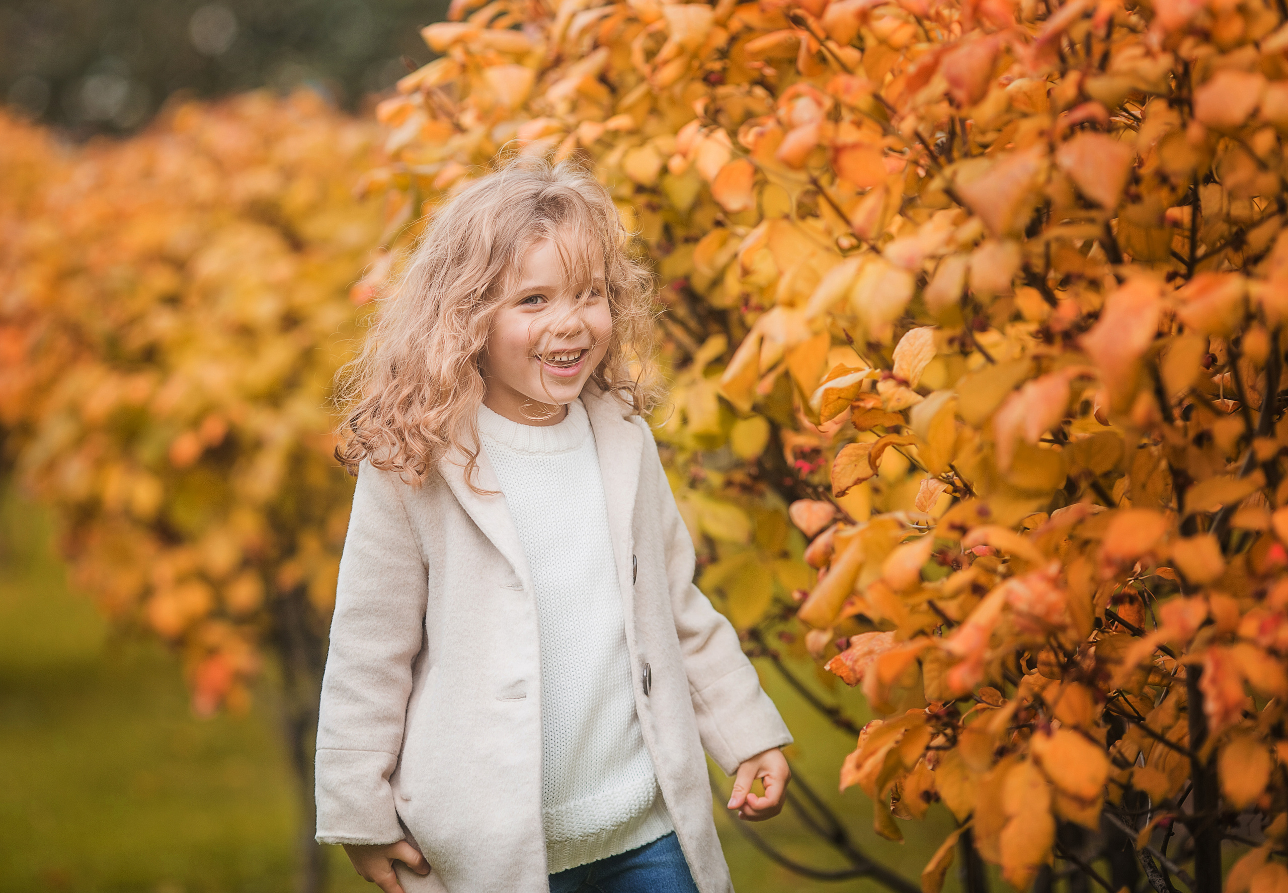 4 фотосессии одной семьи. Зима, весна, лето и осень. צלם ואמן ילדים ומשפחה