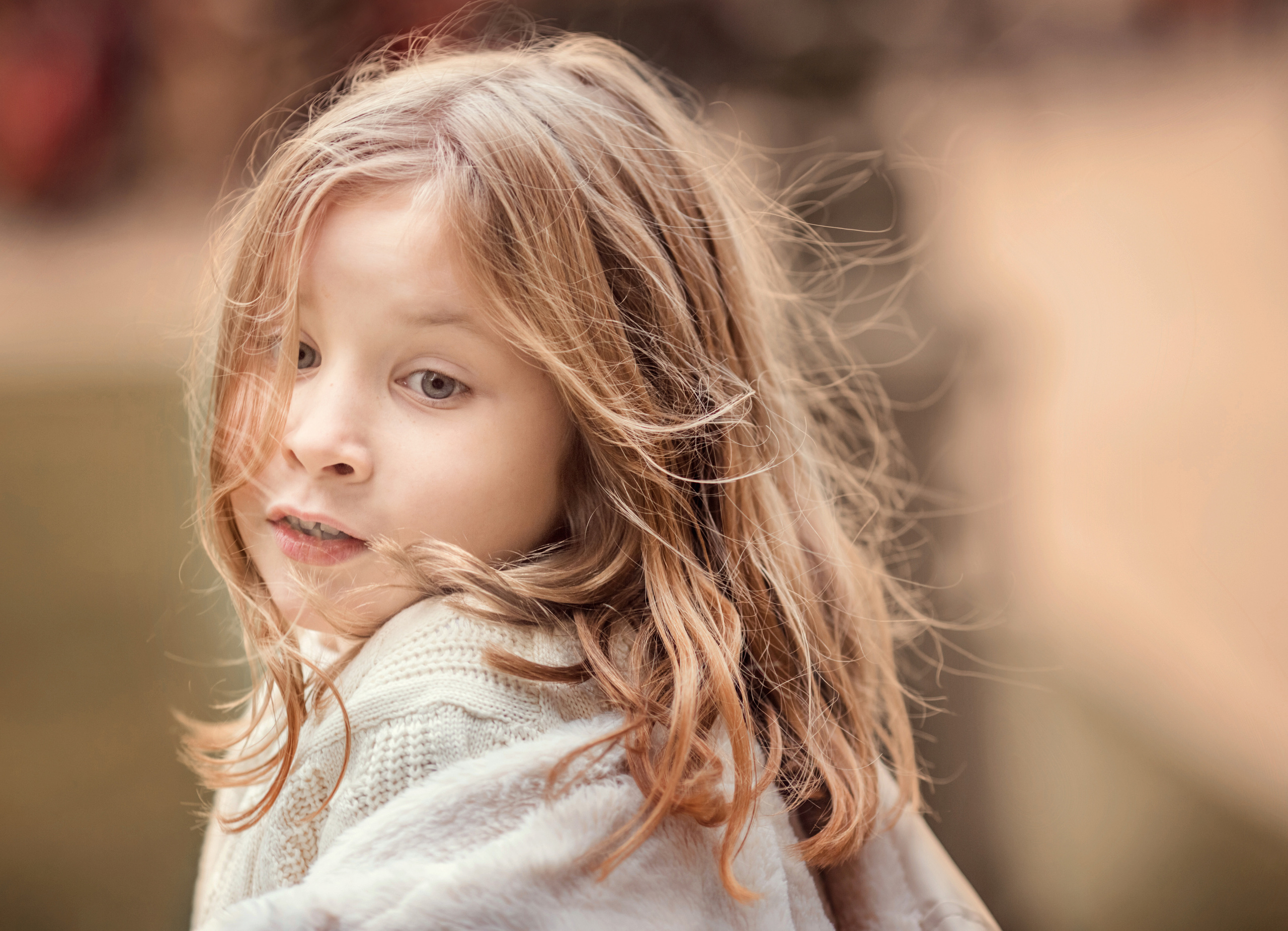 4 фотосессии одной семьи. Зима, весна, лето и осень. צלם ואמן ילדים ומשפחה