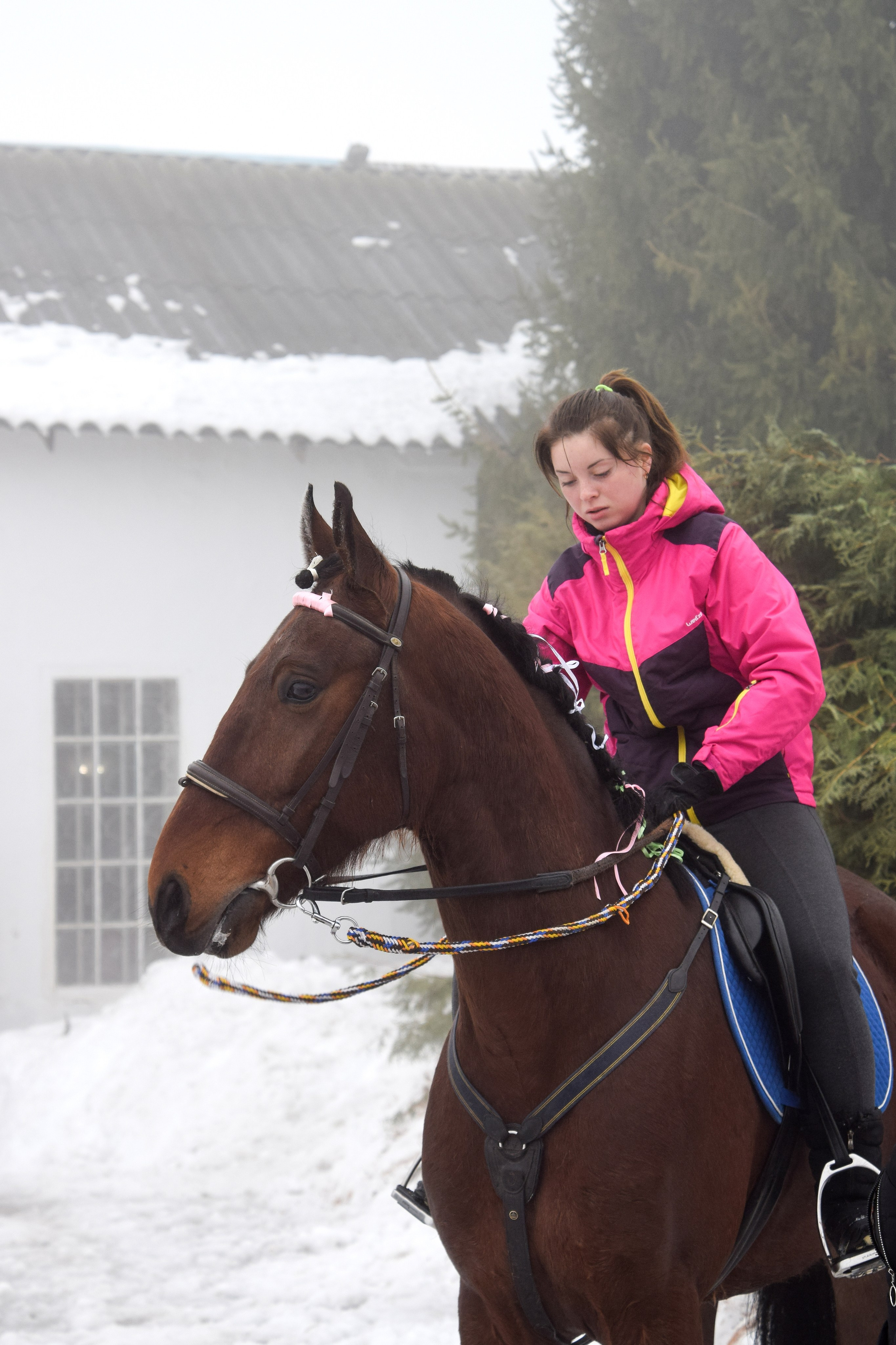 Масленица село Вязовка, 2019–2020 гг. Конный фотограф в Саратове Юлия Иванова