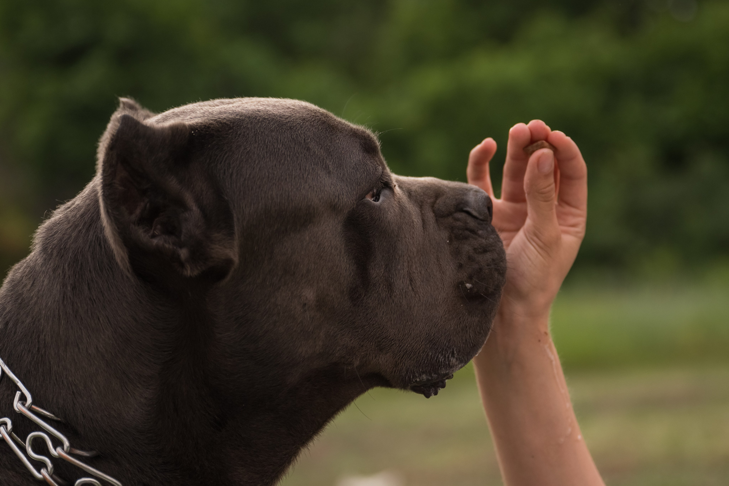 Дина, Яна и Лео. Фотограф Саратов Юлия Петрова