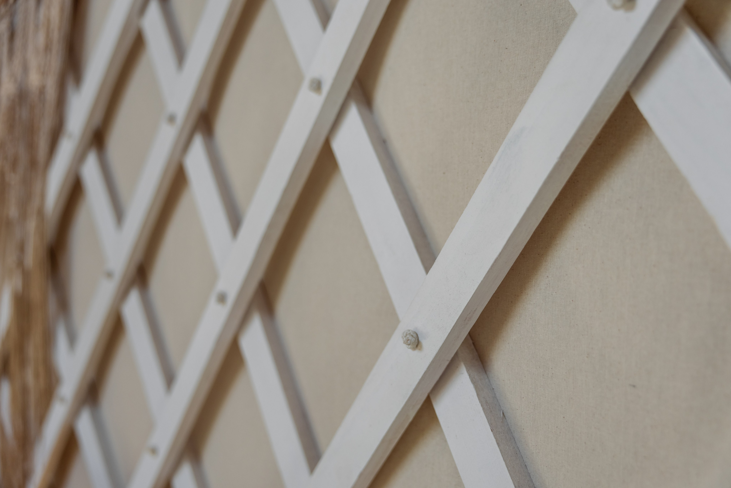 БЕРЕЗКА ВИЛАДЖ | Глэмпинг в Коломне | Юрта «Янтарная». ФОТОГРАФ ИРИНА ШАМАТАВА