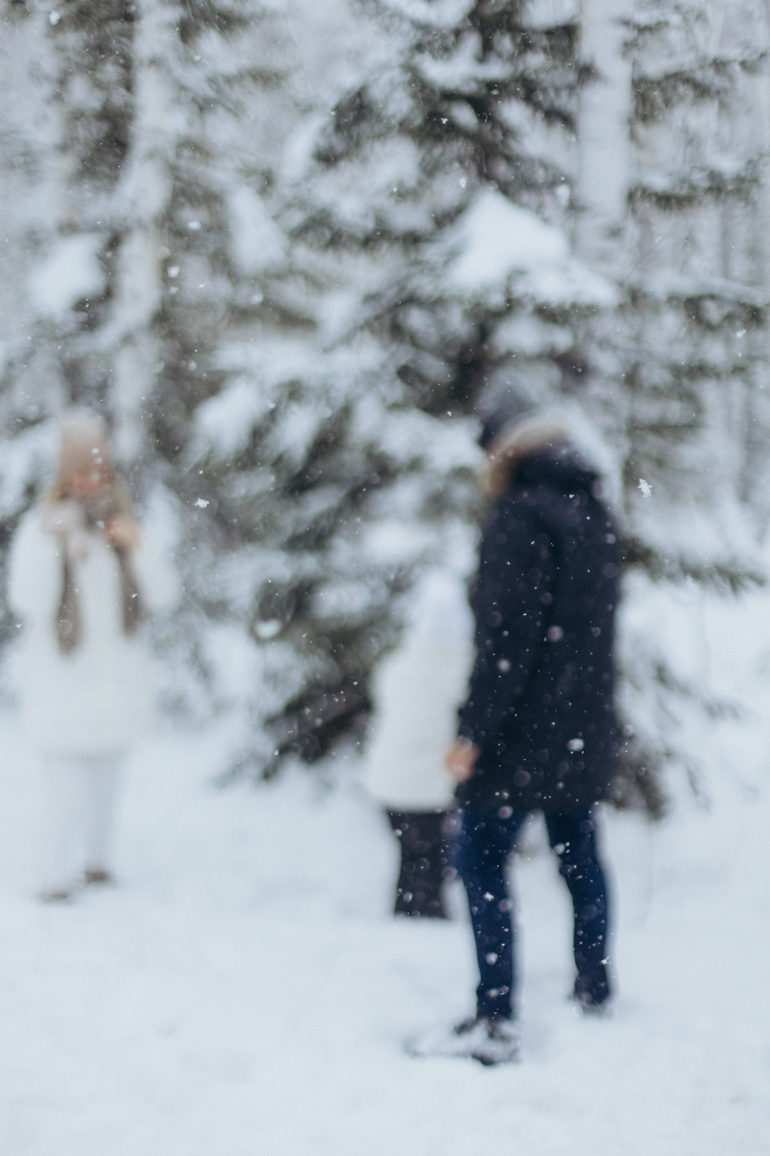 Зимняя история