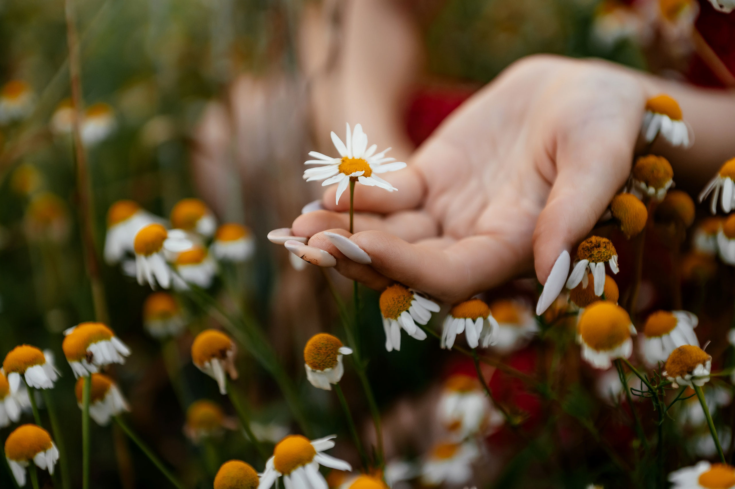 Лиза, Щёлково. Свадебный и семейный фотограф Виктория Носачёва. Щелково, Москва и МО