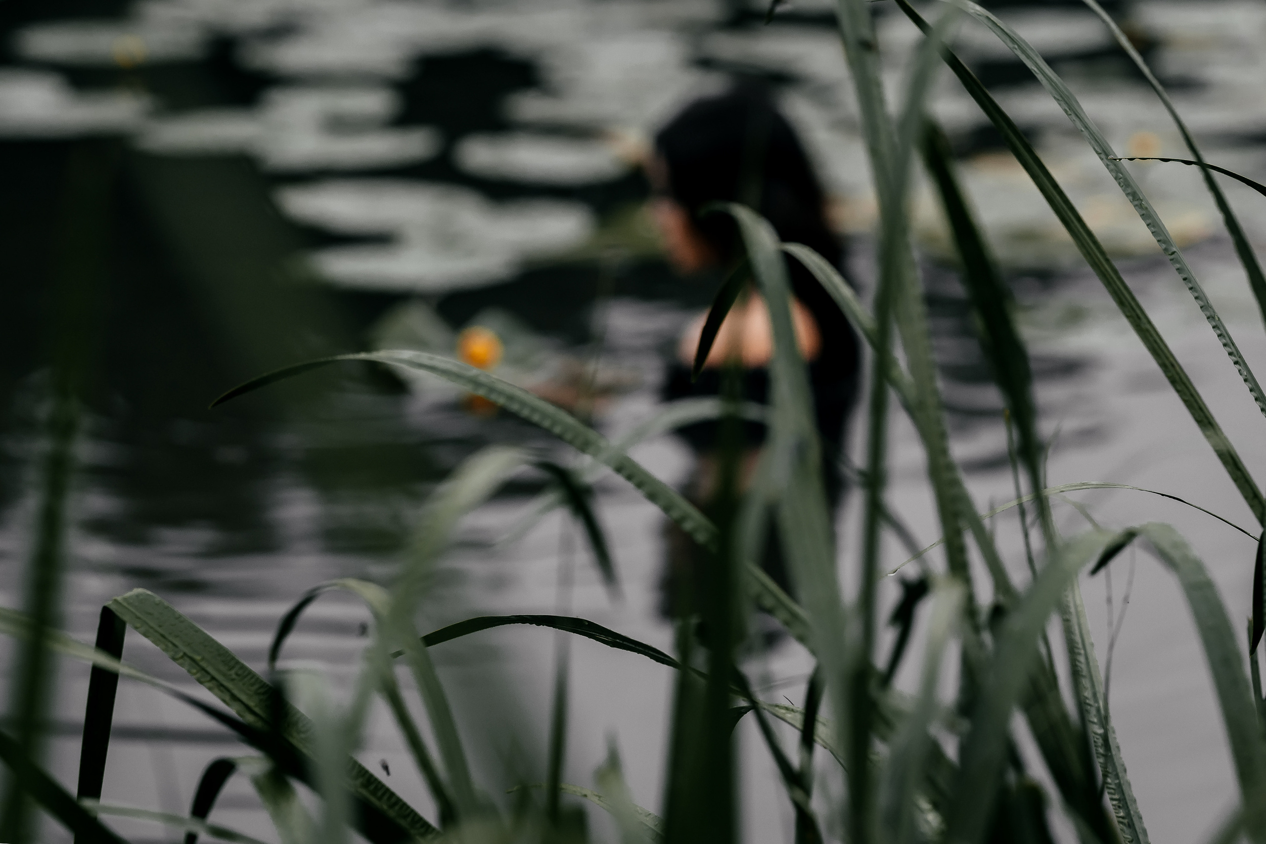 Вика, Балашиха. Свадебный и семейный фотограф Виктория Носачёва. Щелково, Москва и МО