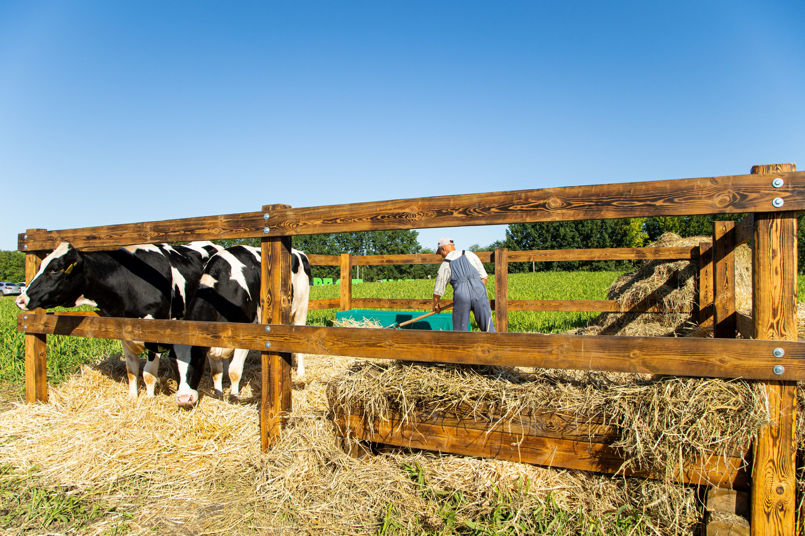 День Поля 2022. Владислав Волков | Фотография и видеосъемка в Воронеже
