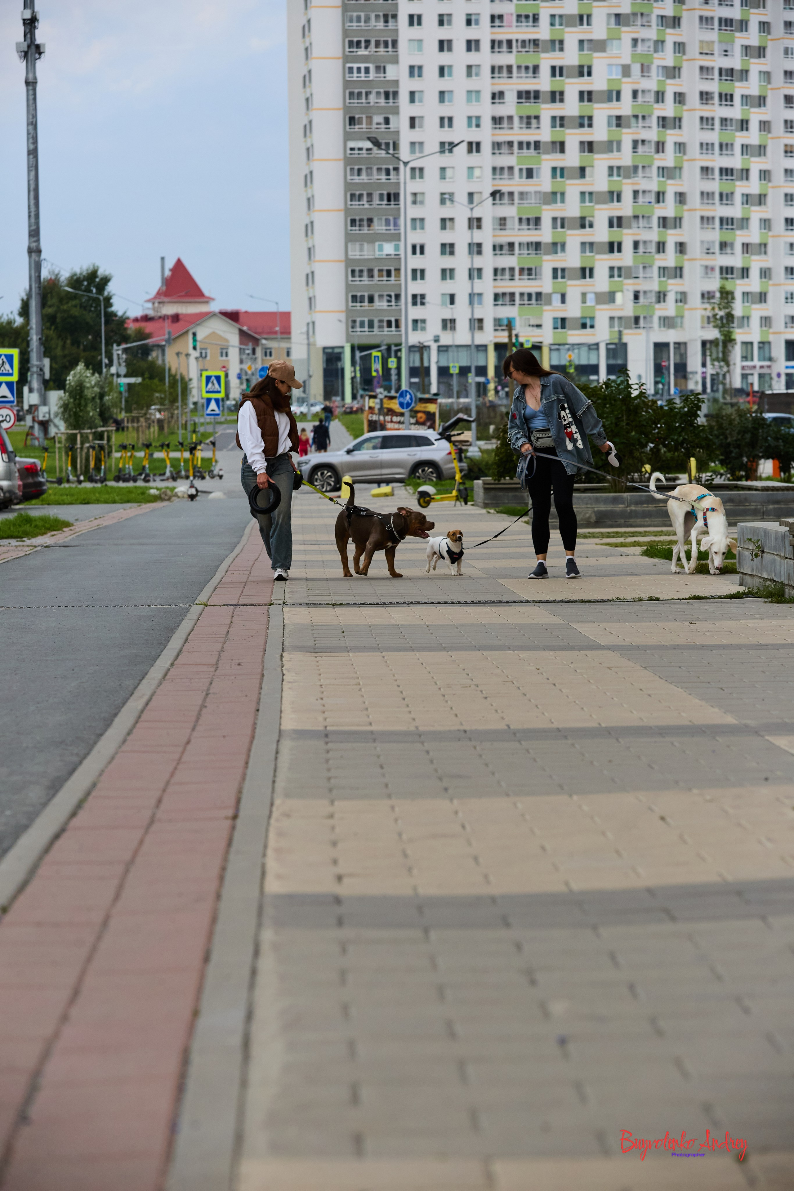 Проект фотопрогулка с хвостиком. Buyvolenko Andrey