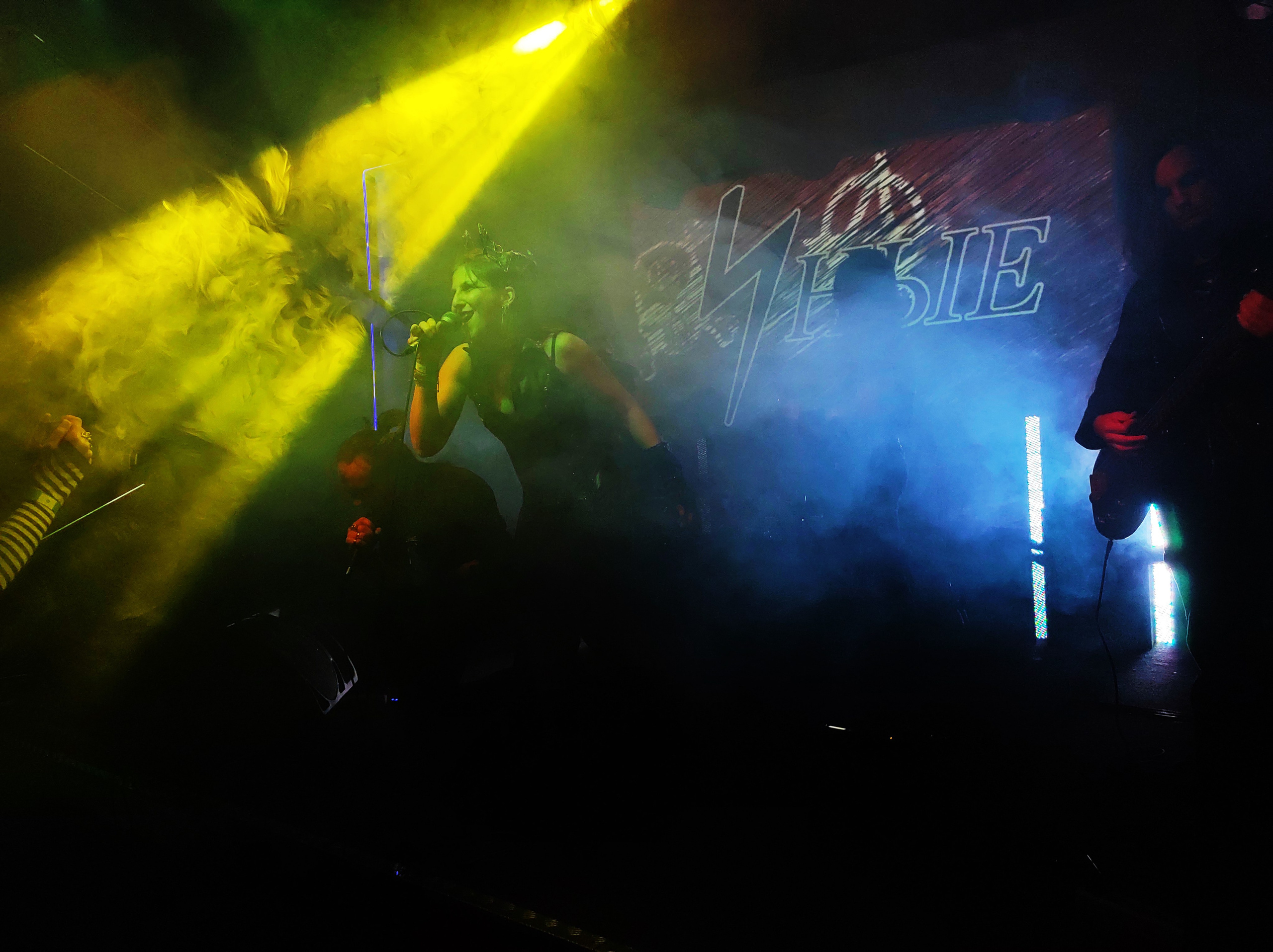 Иные. Rock night, клуб-галерея Эрмитаж. 15.11.2024. Фотограф Регина Крикунова г. Красноярск