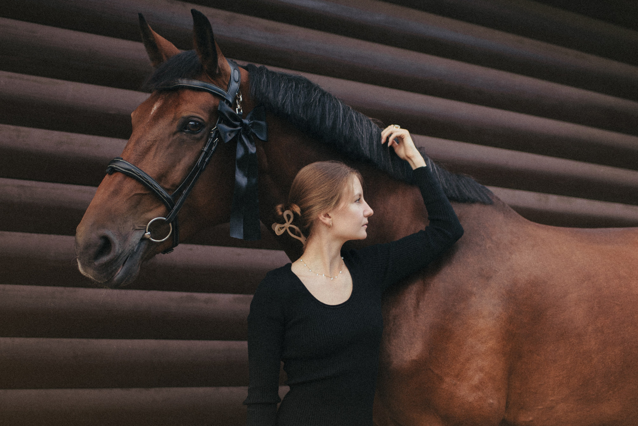 Соня и Лоли Поп. MariaGohri — Конный фотограф, анималист, Рязань