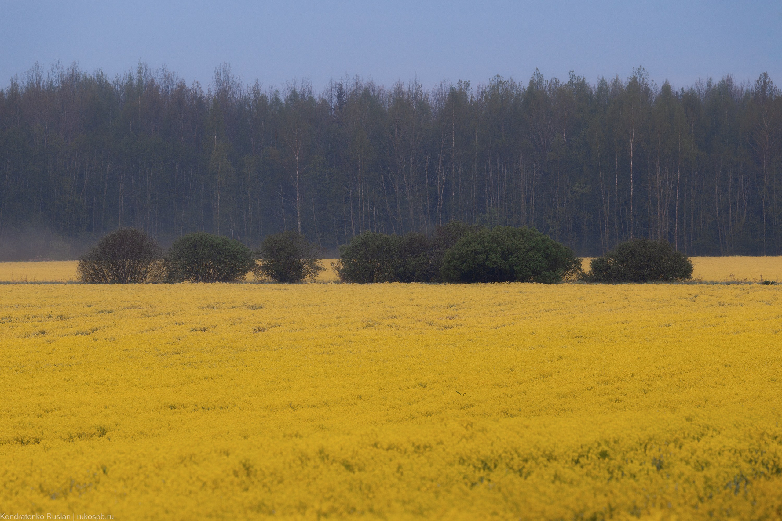 Ленинградская область. Архитектурный и пейзажный фотограф Кондратенко Руслан, Санкт-Петербург