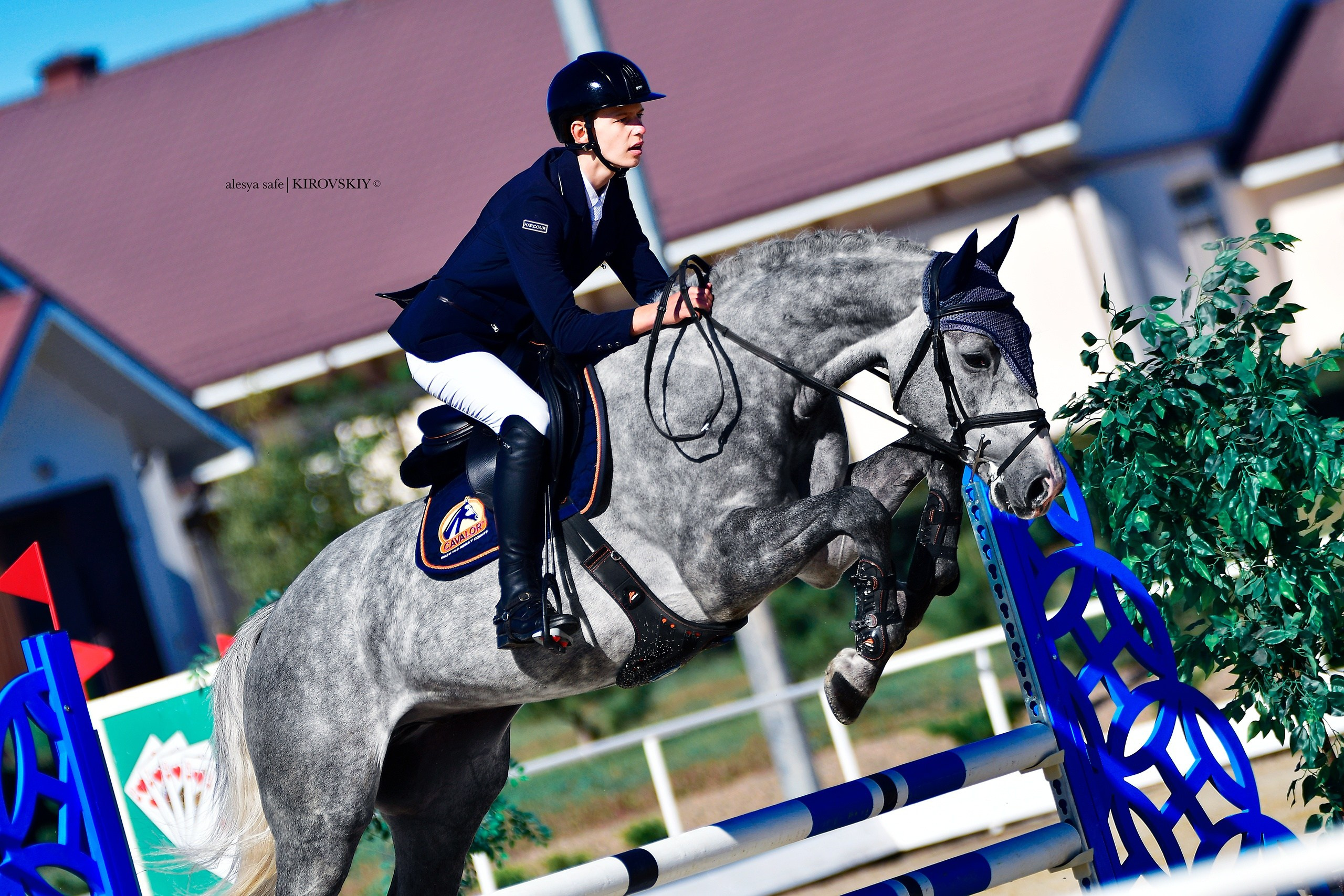 Кировский конный завод. Конный фотограф Alesya Safe
