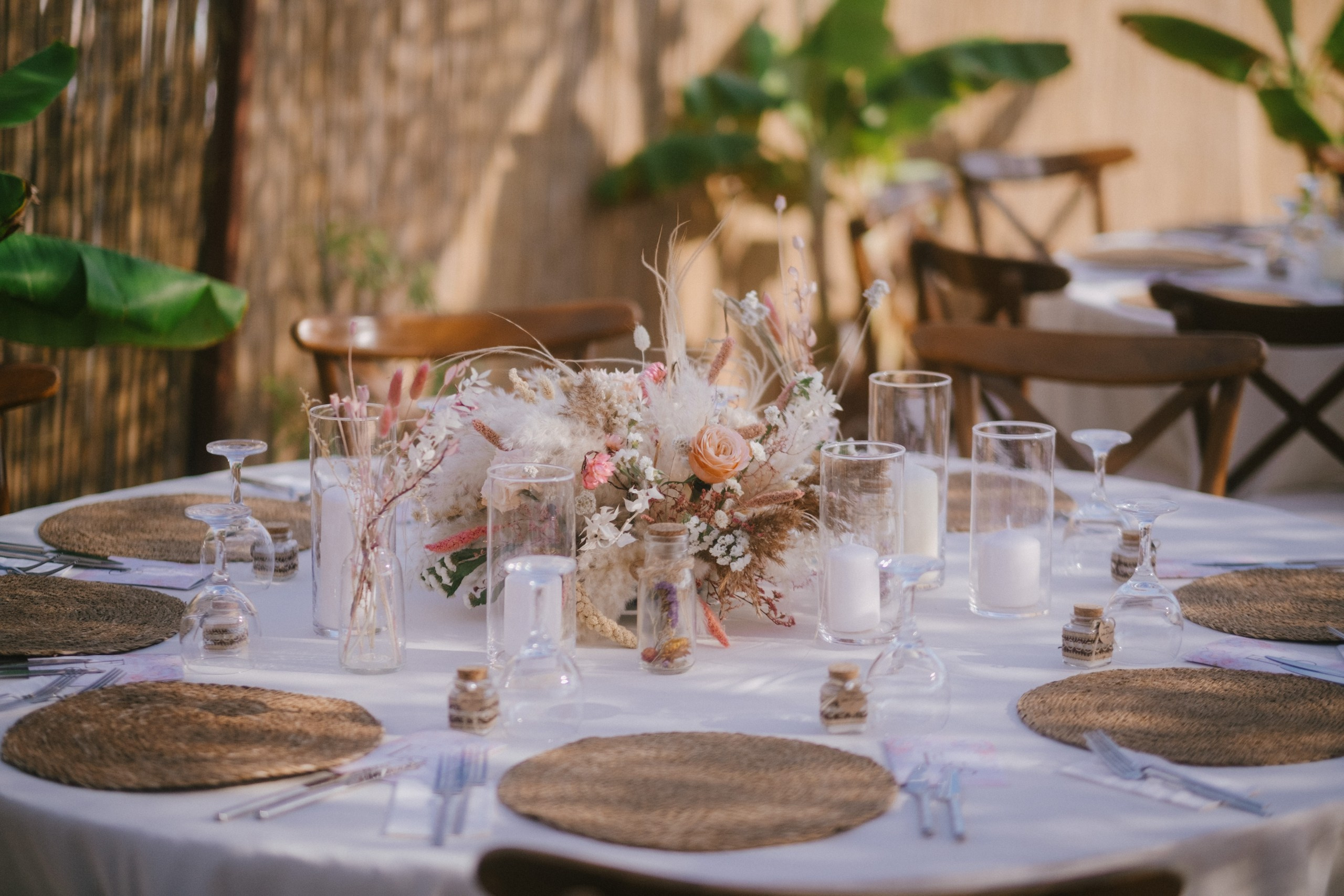 История Стеллы И Евгения