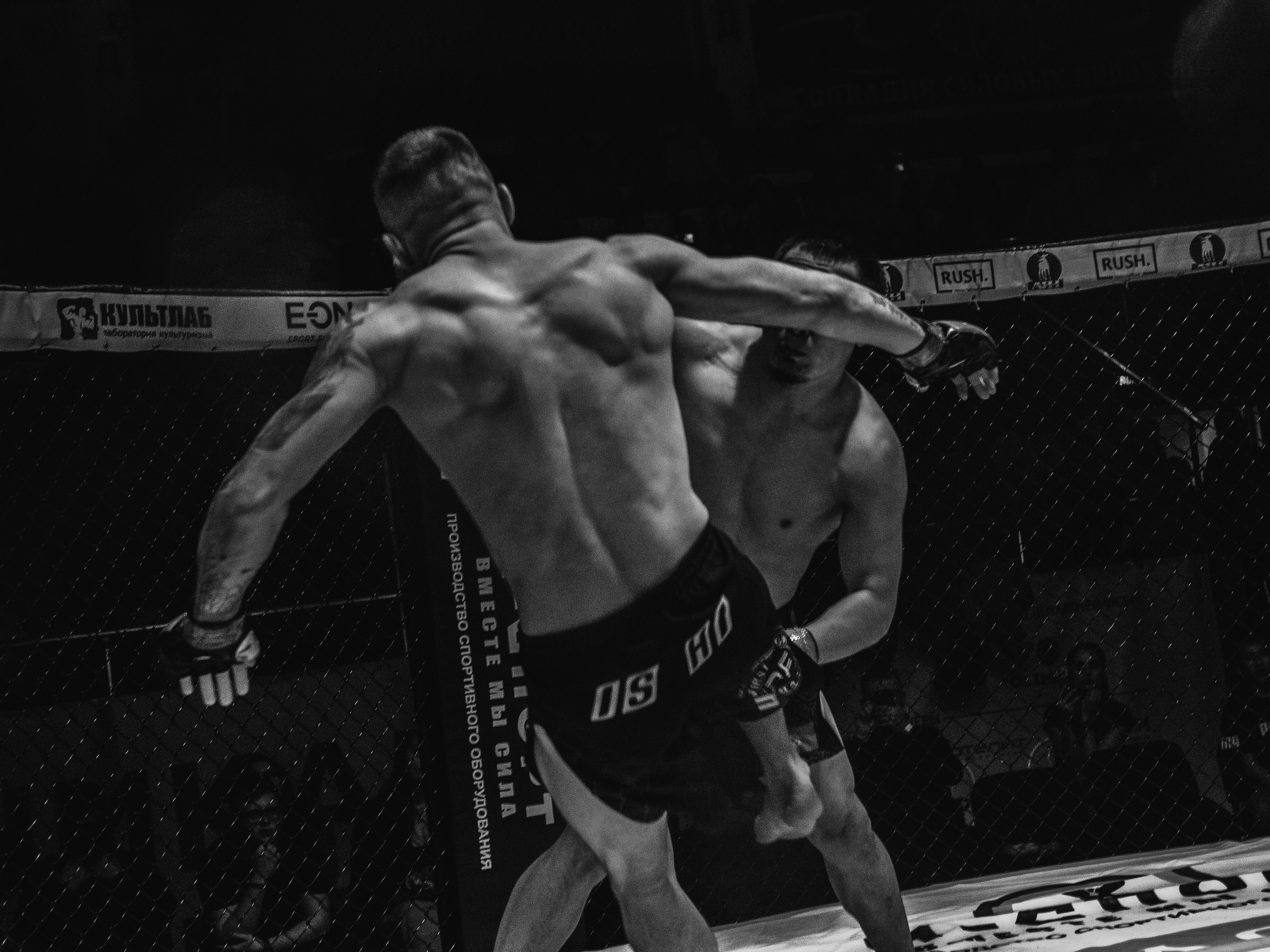 SFL 17 | Siberian Fighting League. Портретный фотограф в Москве Дарья Цезария