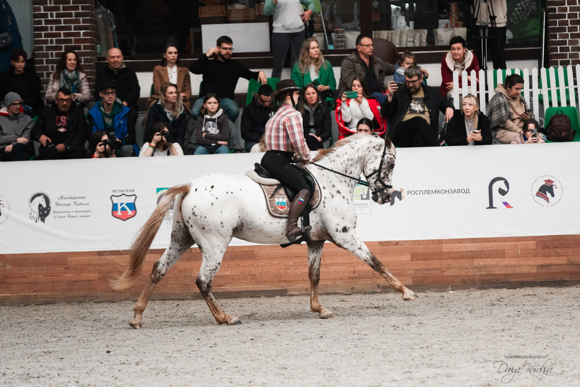 8-я международная выставка Конная Россия. Конный фотограф Куракина Дарья • Фотосессии с лошадьми