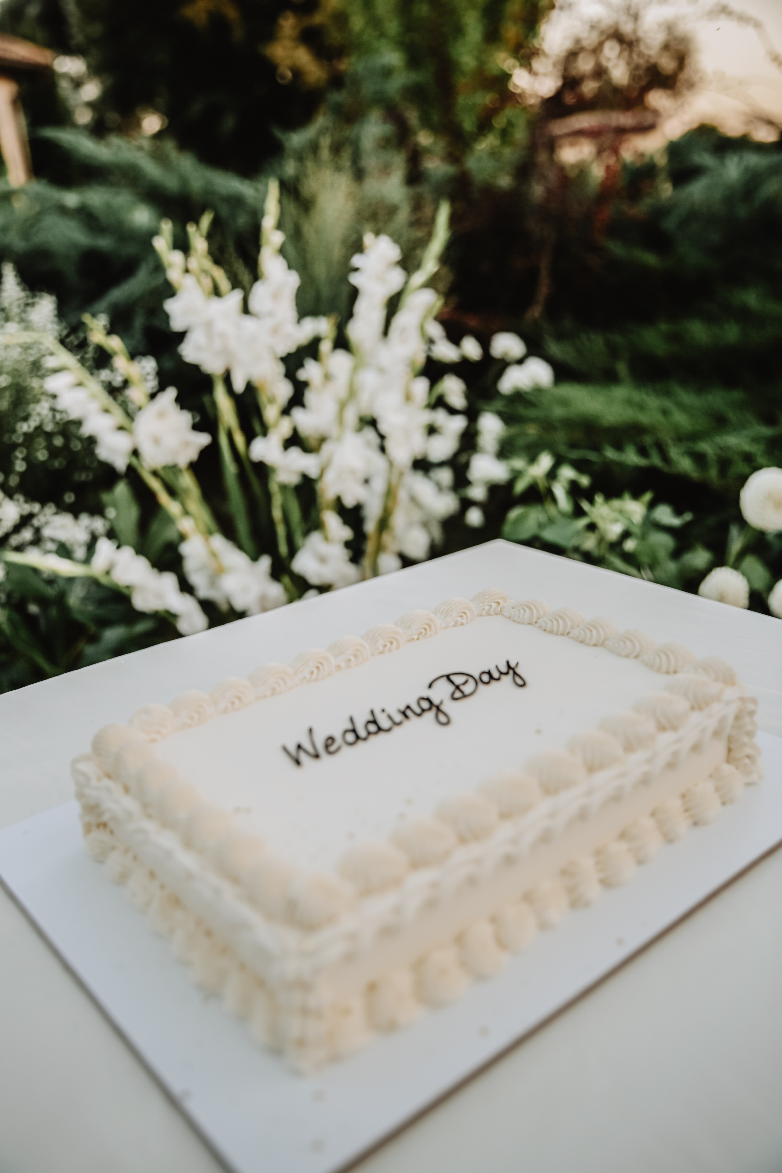 Павел и Алина. Свадебный и семейный фотограф в Новопавловске и КМВ Баканова Юлия