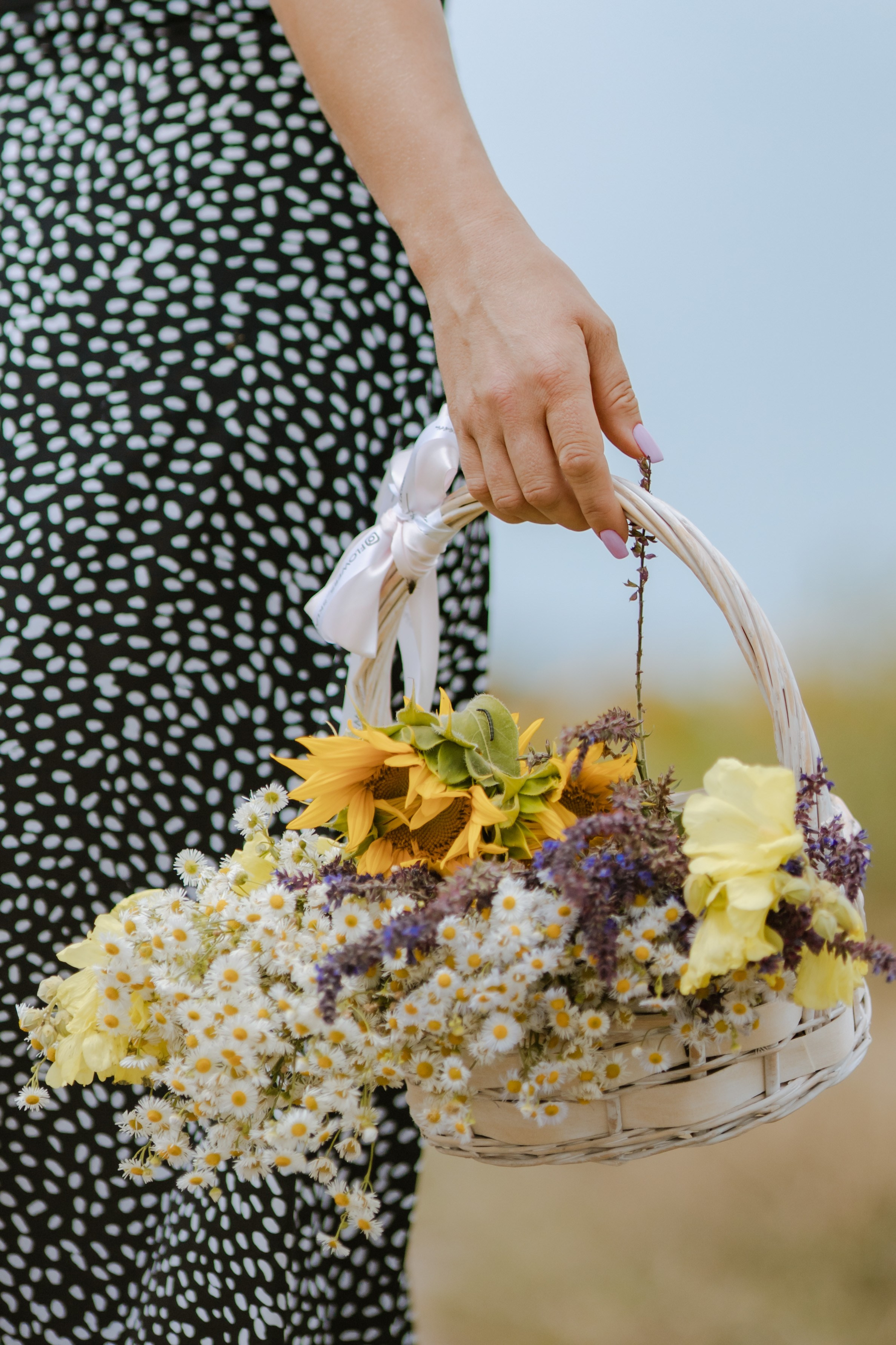 Лето. Профессиональный фотограф и видеооператор
