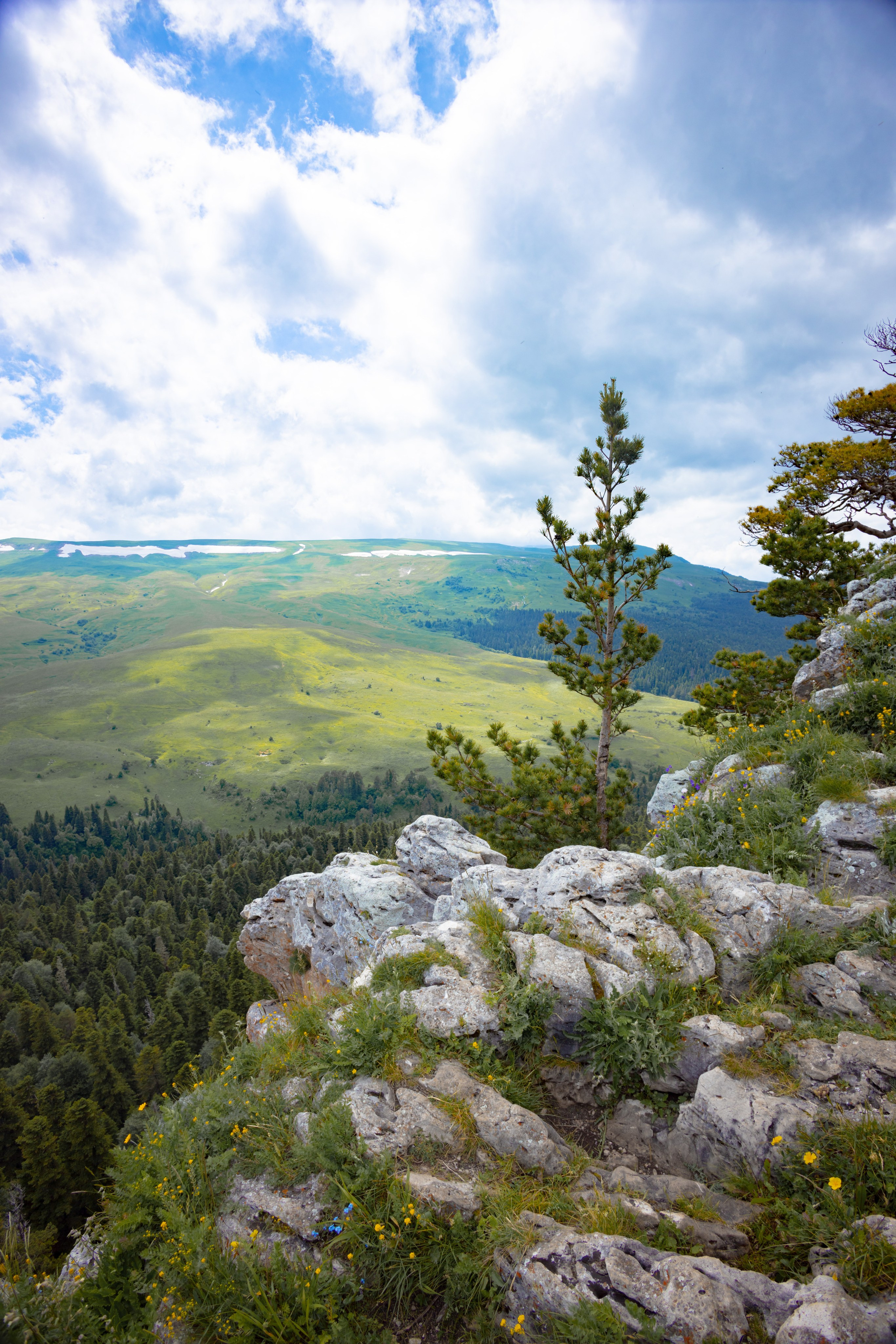 Осень. Профессиональный фотограф и видеооператор