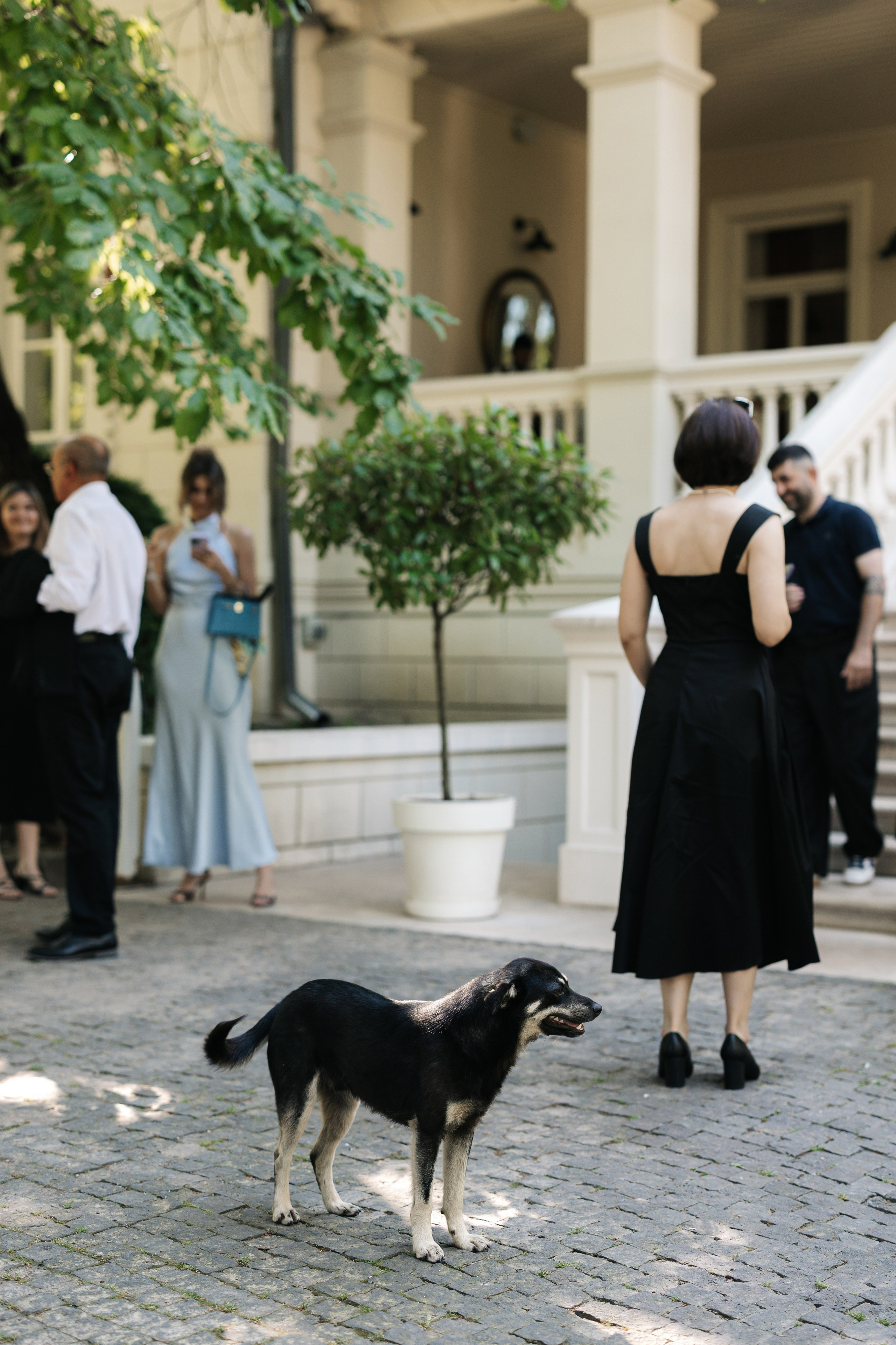 Для конкурса. Свадебный фотограф Москва Мотеюнайте Виктория