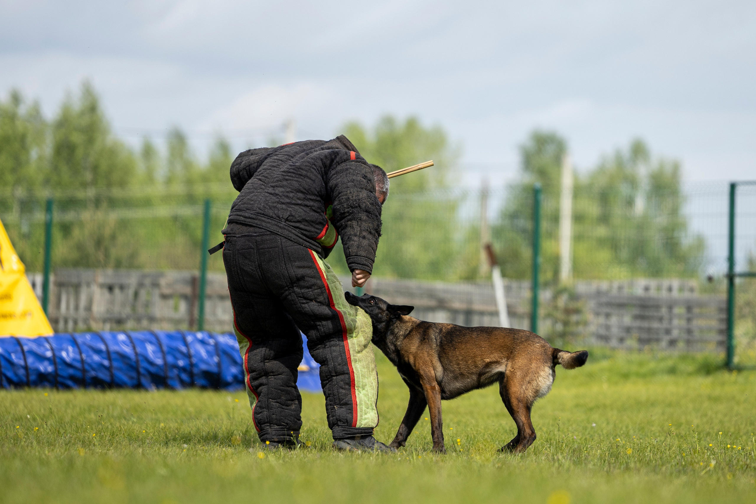 Испытания по мондьорингу в Нижнем Новгороде. Фотограф-анималист Анна Маринич