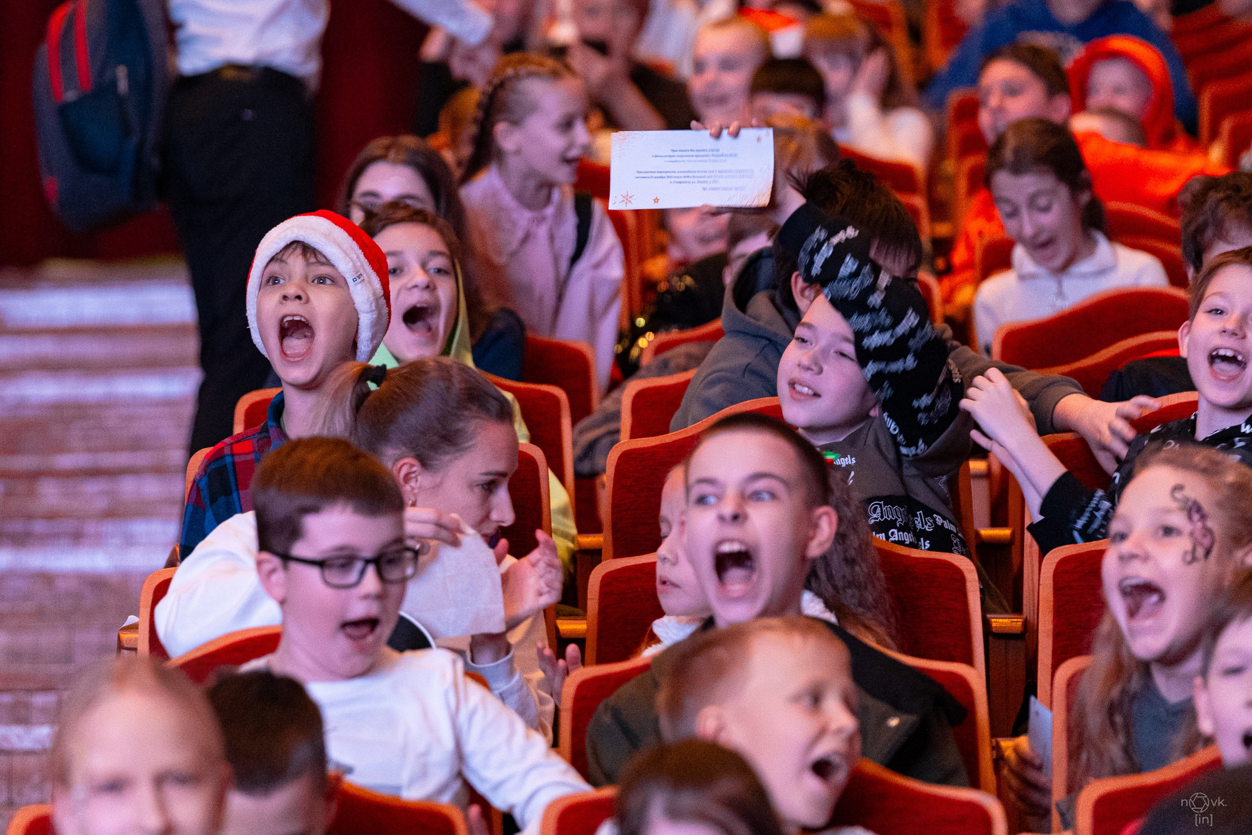 Ёлка. ФОТОГРАФ ИВАН НОВИКОВ | СТАВРОПОЛЬ