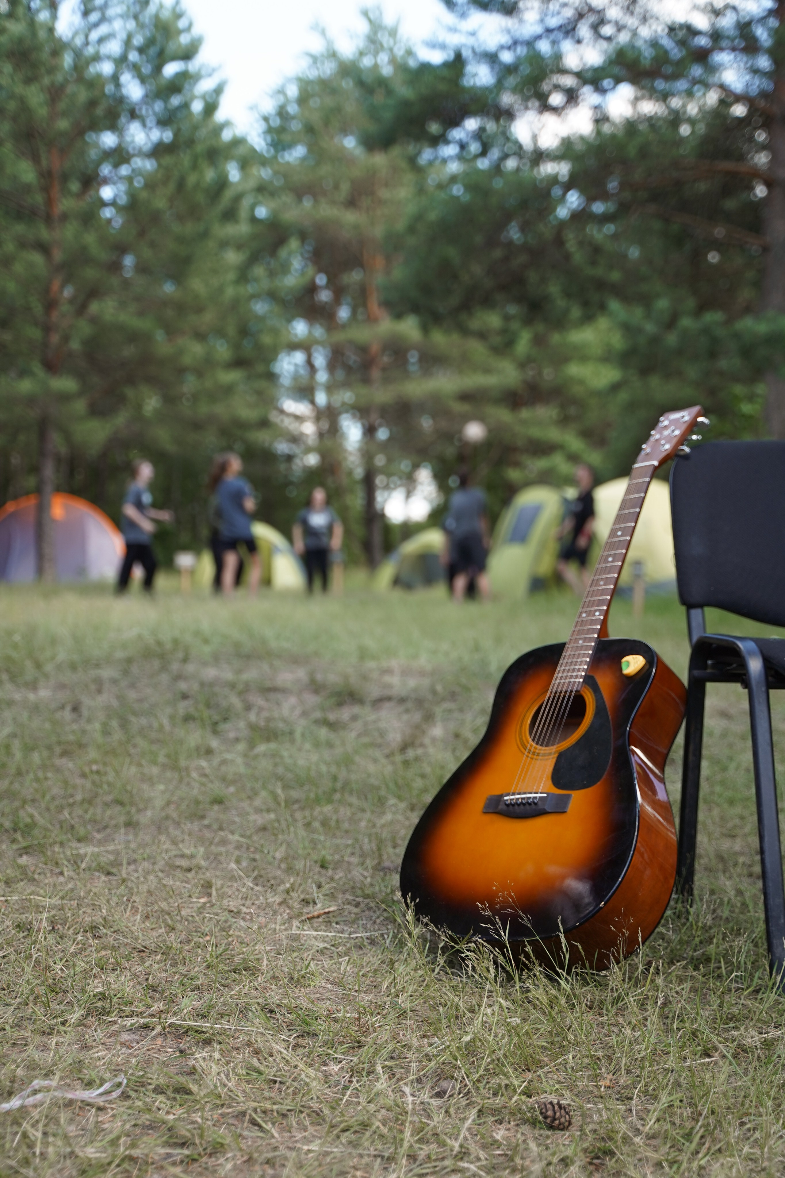 Эко-сборы добровольцев «О! Пушка» в национальном парке «Мещерский» 2024. Фотограф Надежда Погребняк | Рязань | Москва