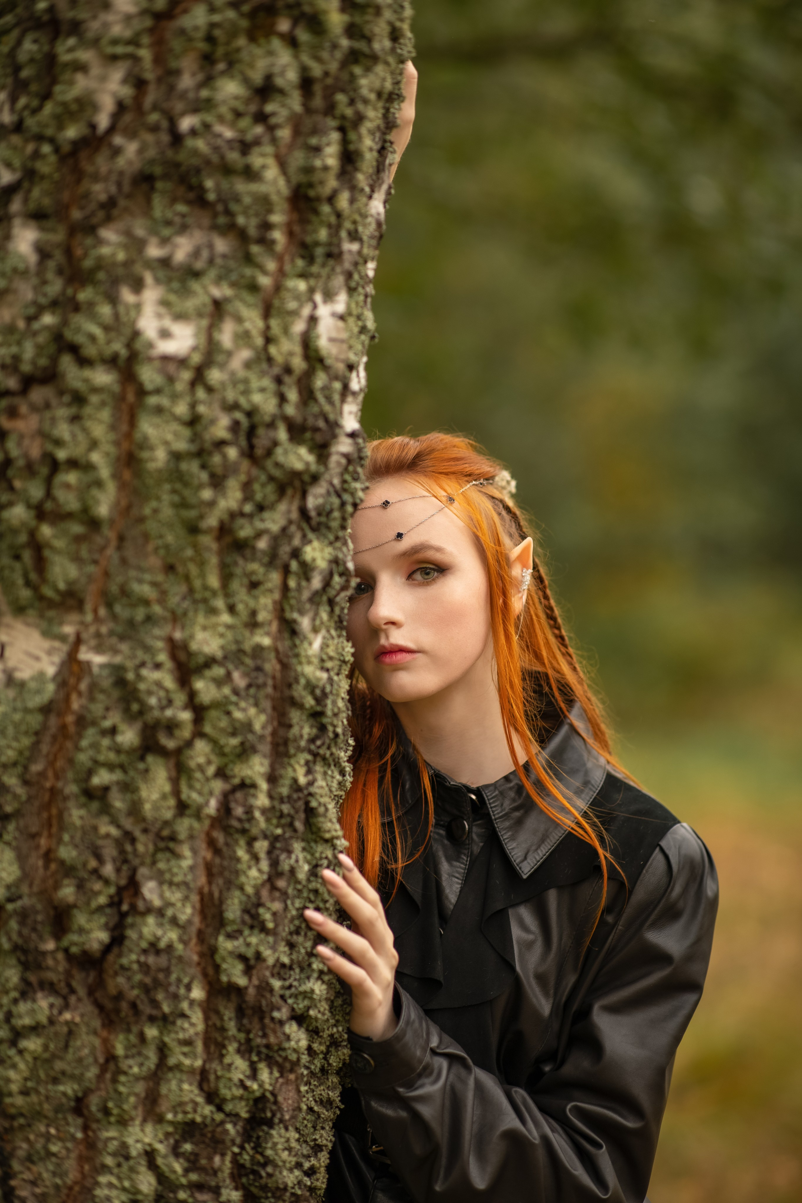 Волшебный лес