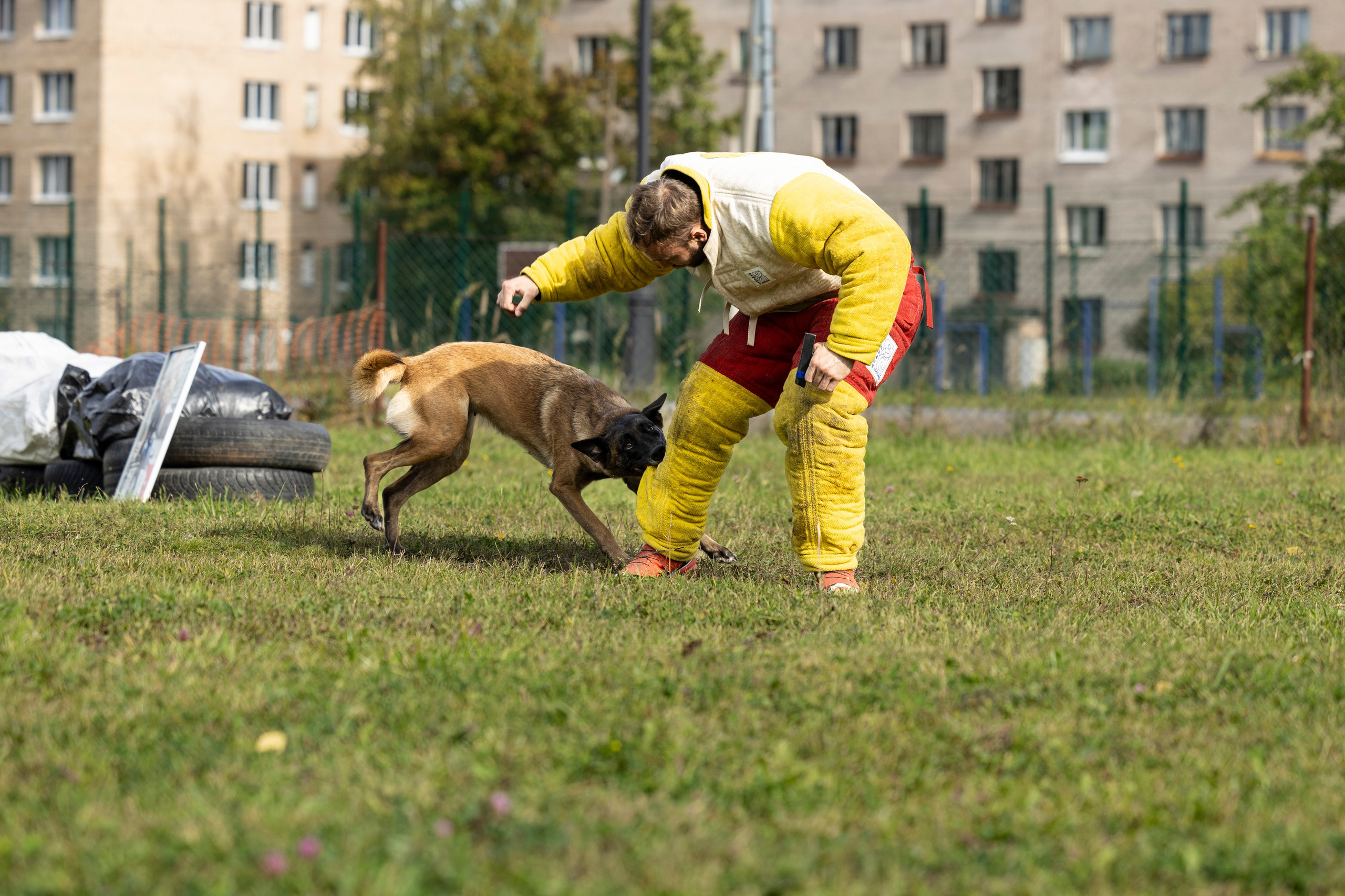 Испытания по Мондьорингу г. Пушкин. Фотограф-анималист Анна Маринич