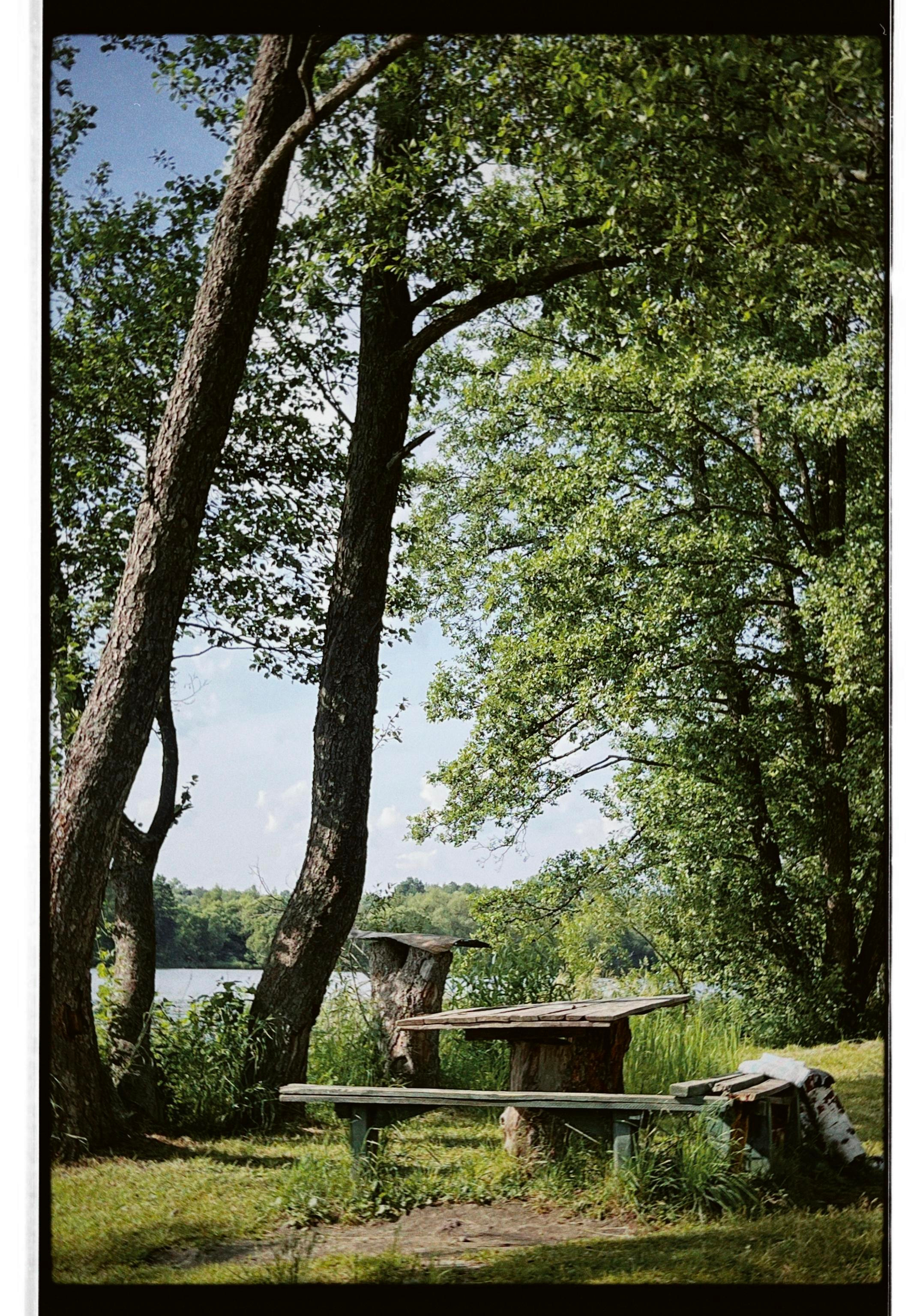 «Летний вайб». Свадебный фотограф Колесников Антон