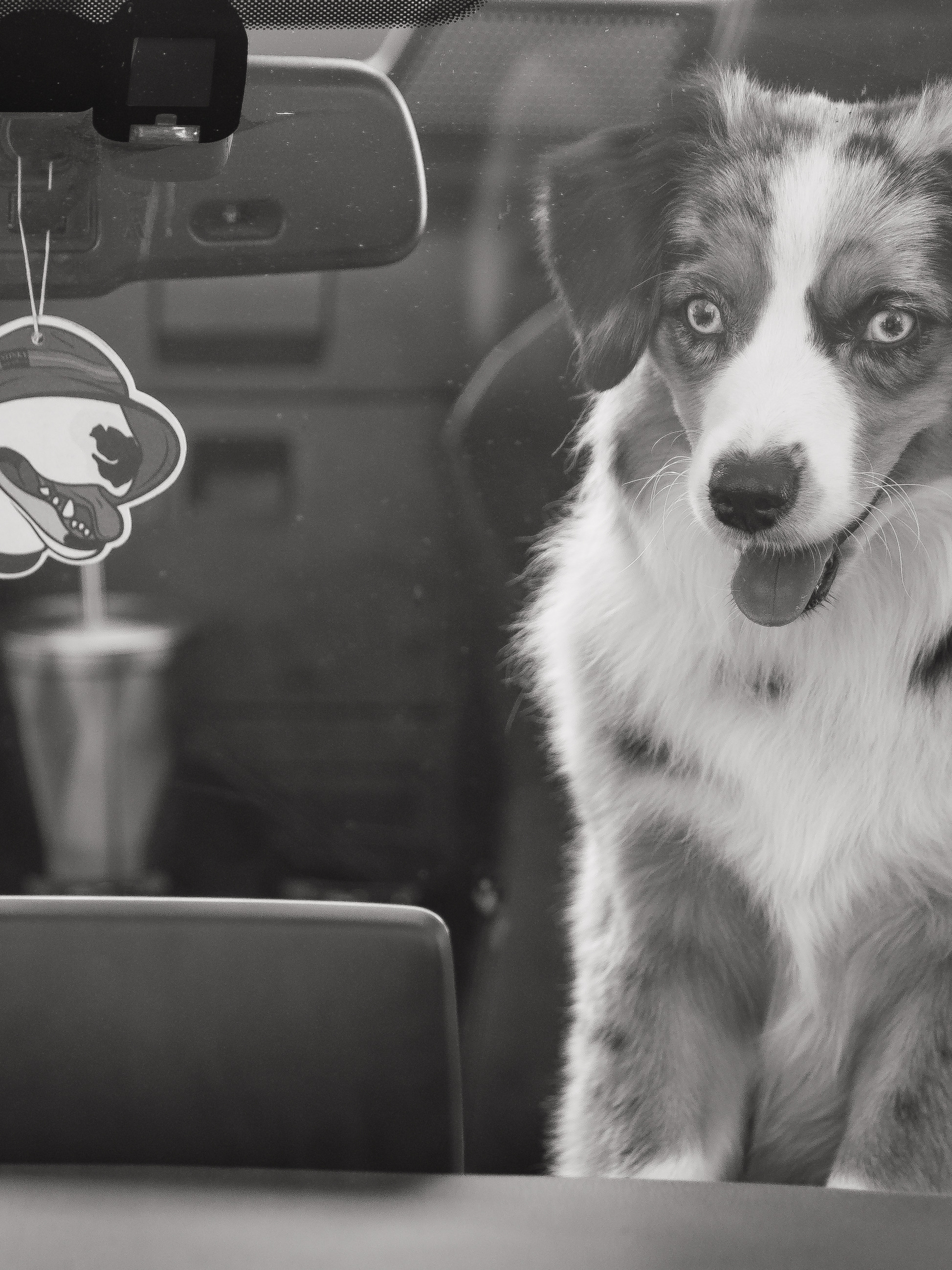 Свадебный день Дмитрий и Екатерина. Свадебный фотограф Колесников Антон