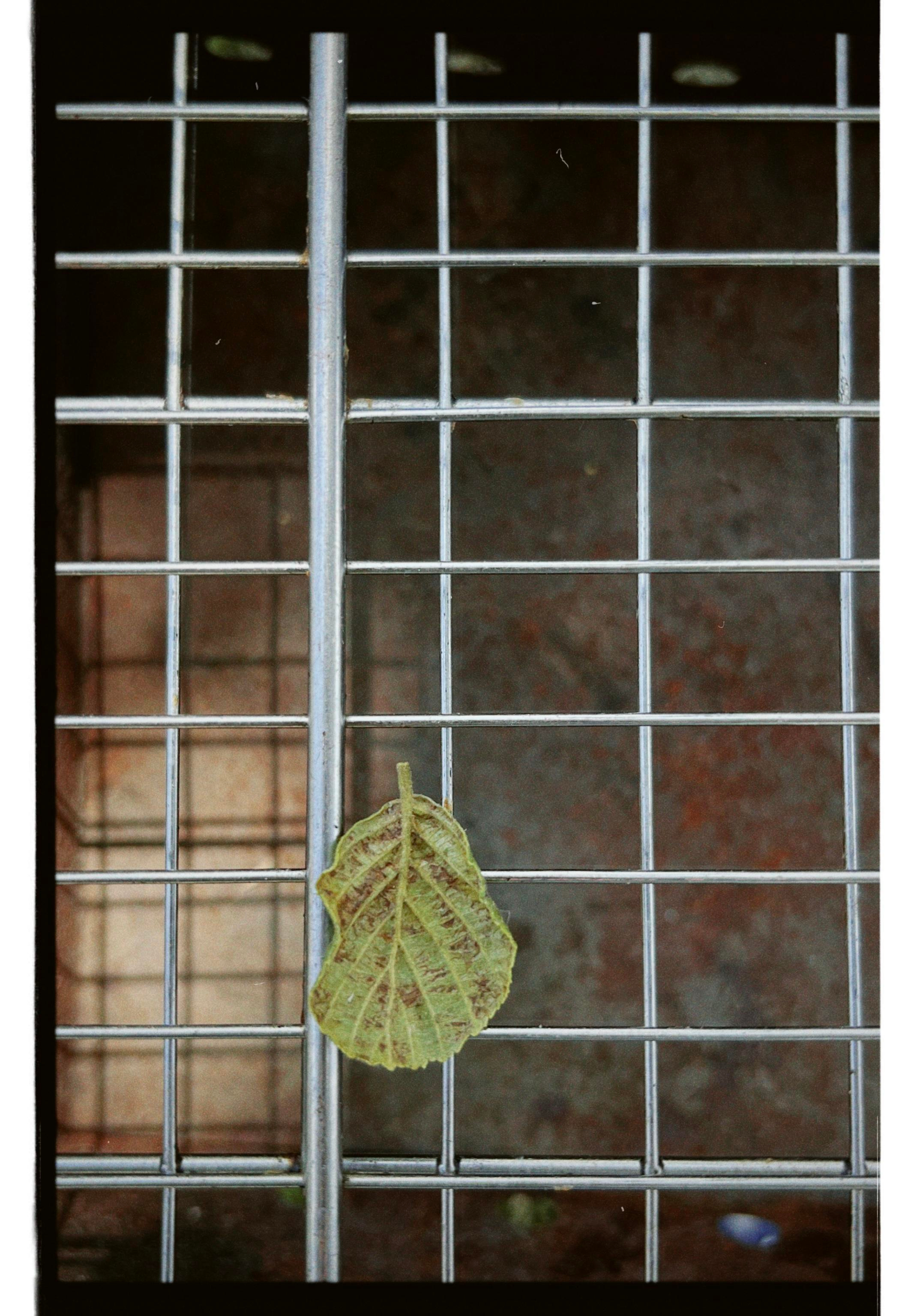 «Летний вайб». Свадебный фотограф Колесников Антон