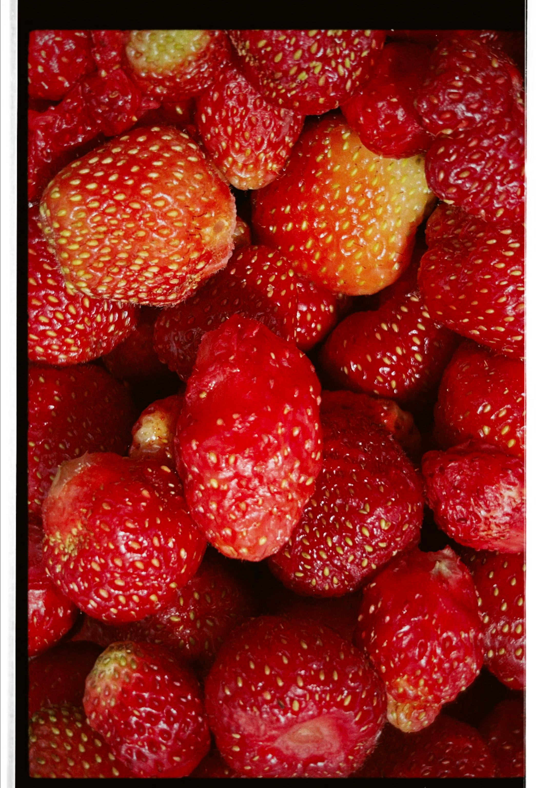 «Летний вайб». Свадебный фотограф Колесников Антон