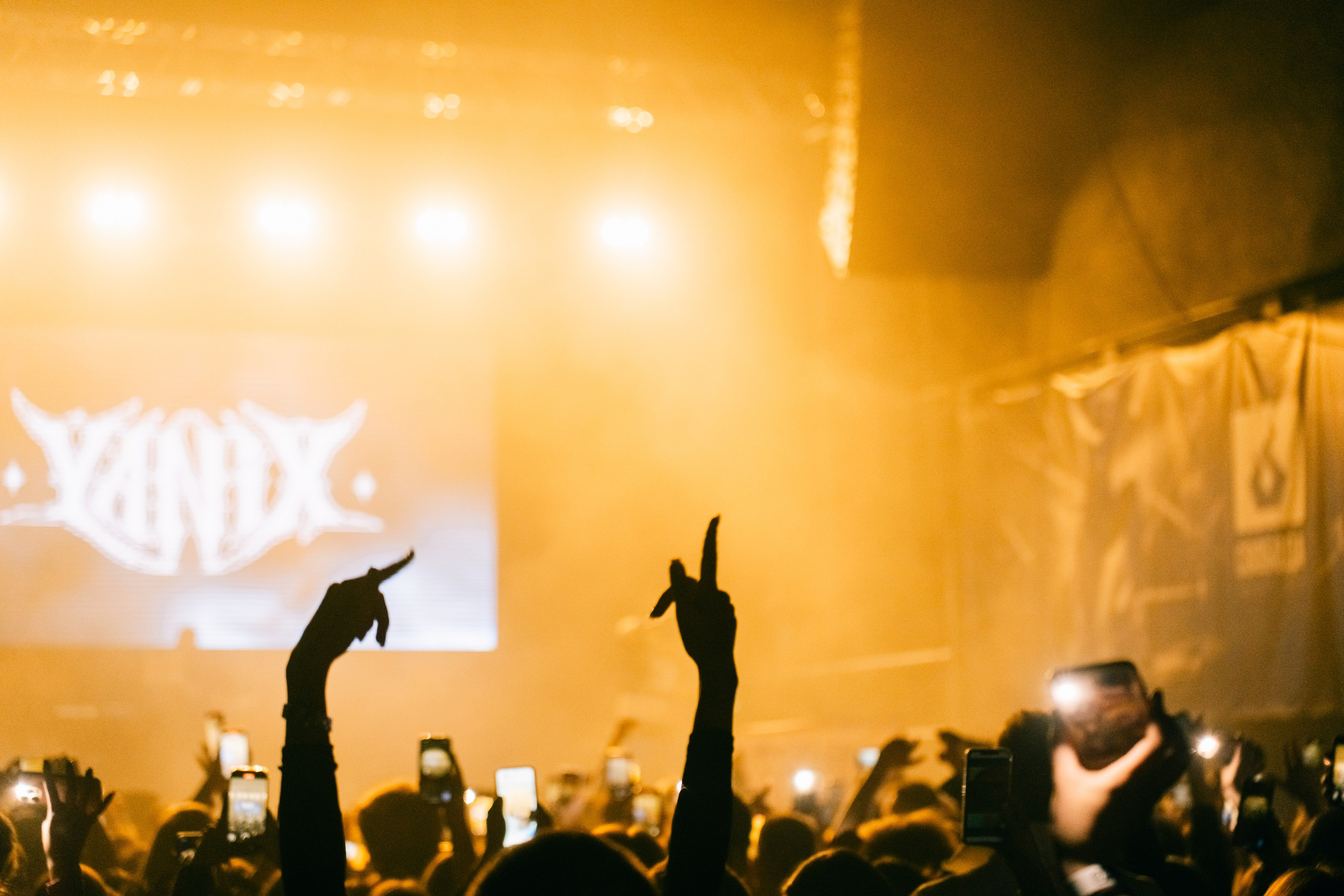 Yanix. Концертный фотограф в Перми, Москве и Екатеринбурге Максим Шибаков